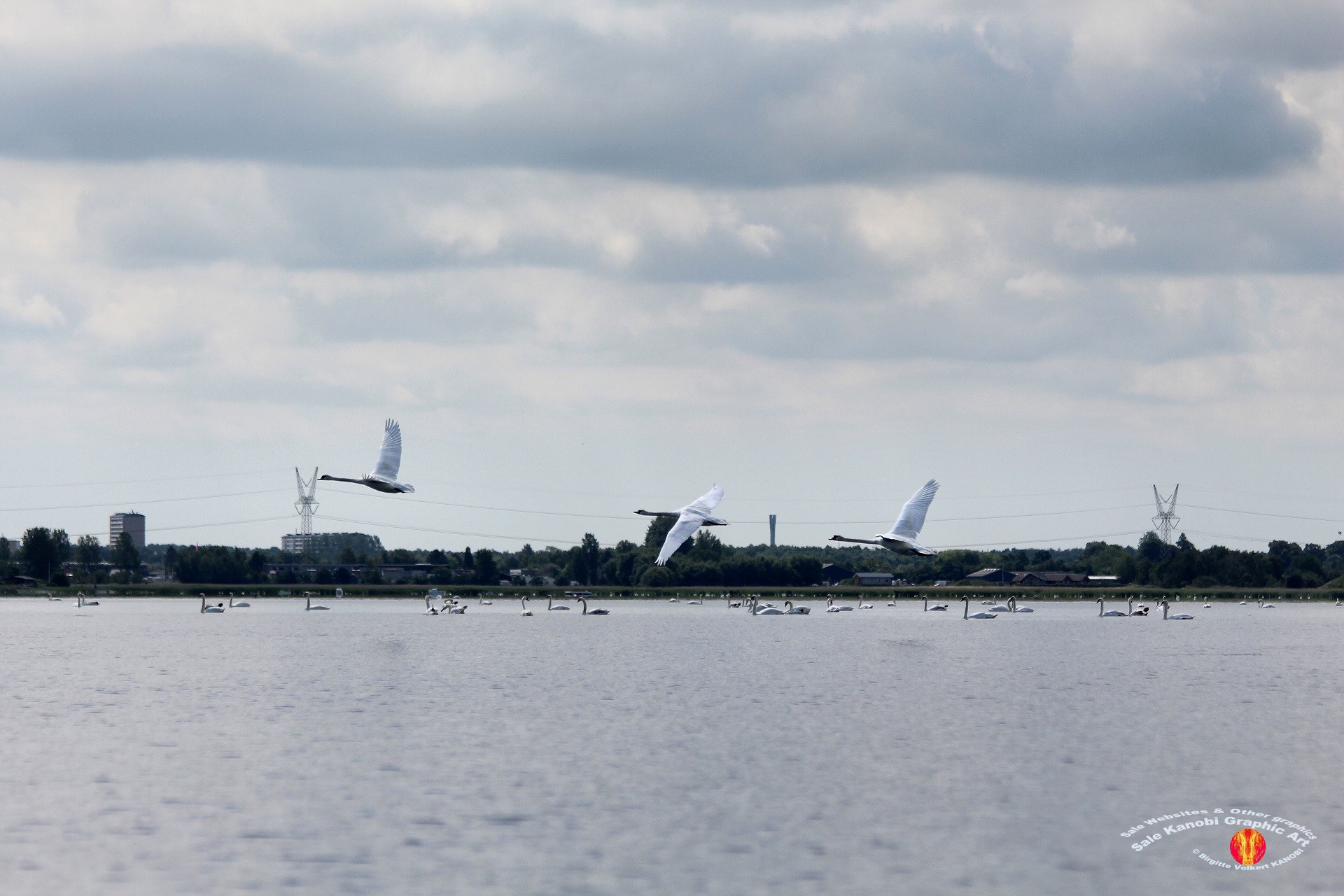 Odense Fjord Kayak 18