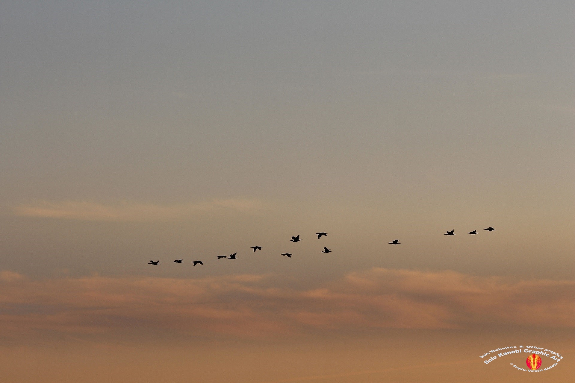 Enebærodde Evenings 39