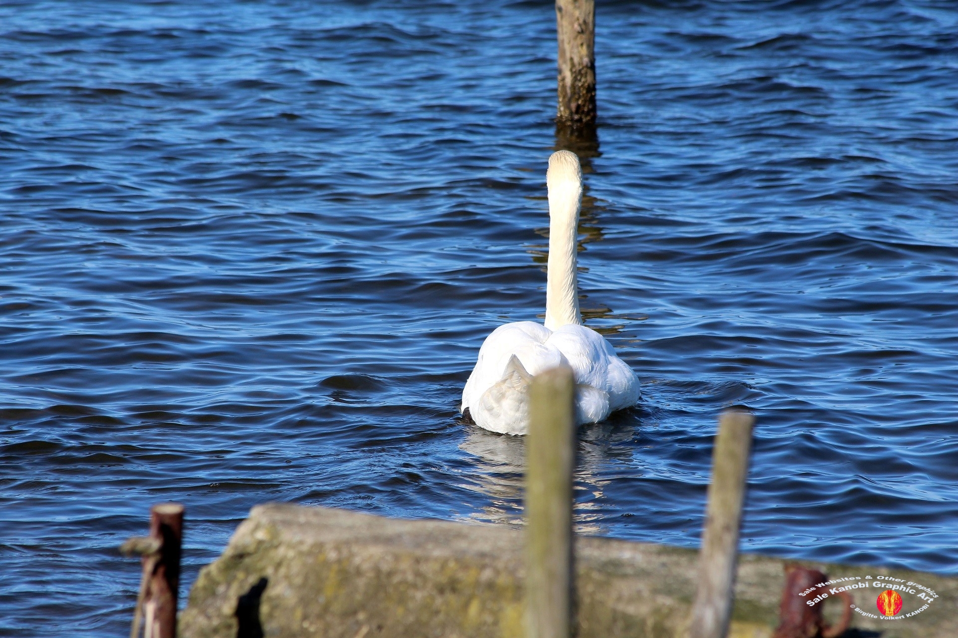 Otterup Harbour 15
