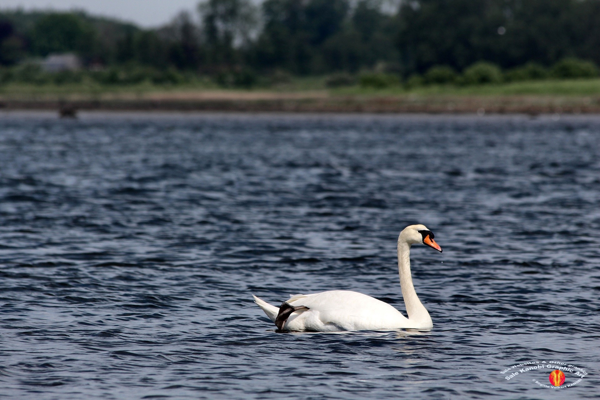 Odense Fjord Kayak 21