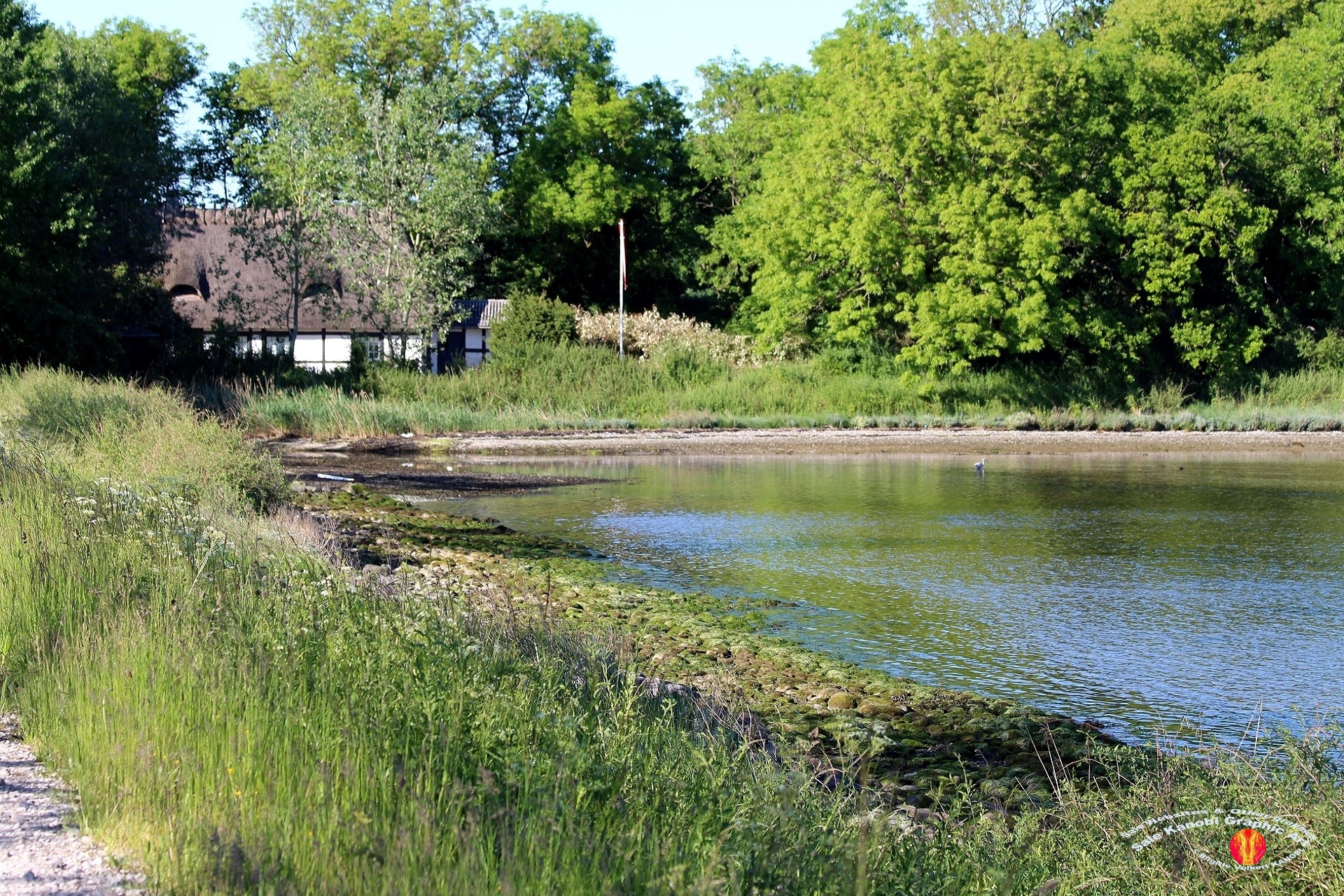 Otterup Harbour 31