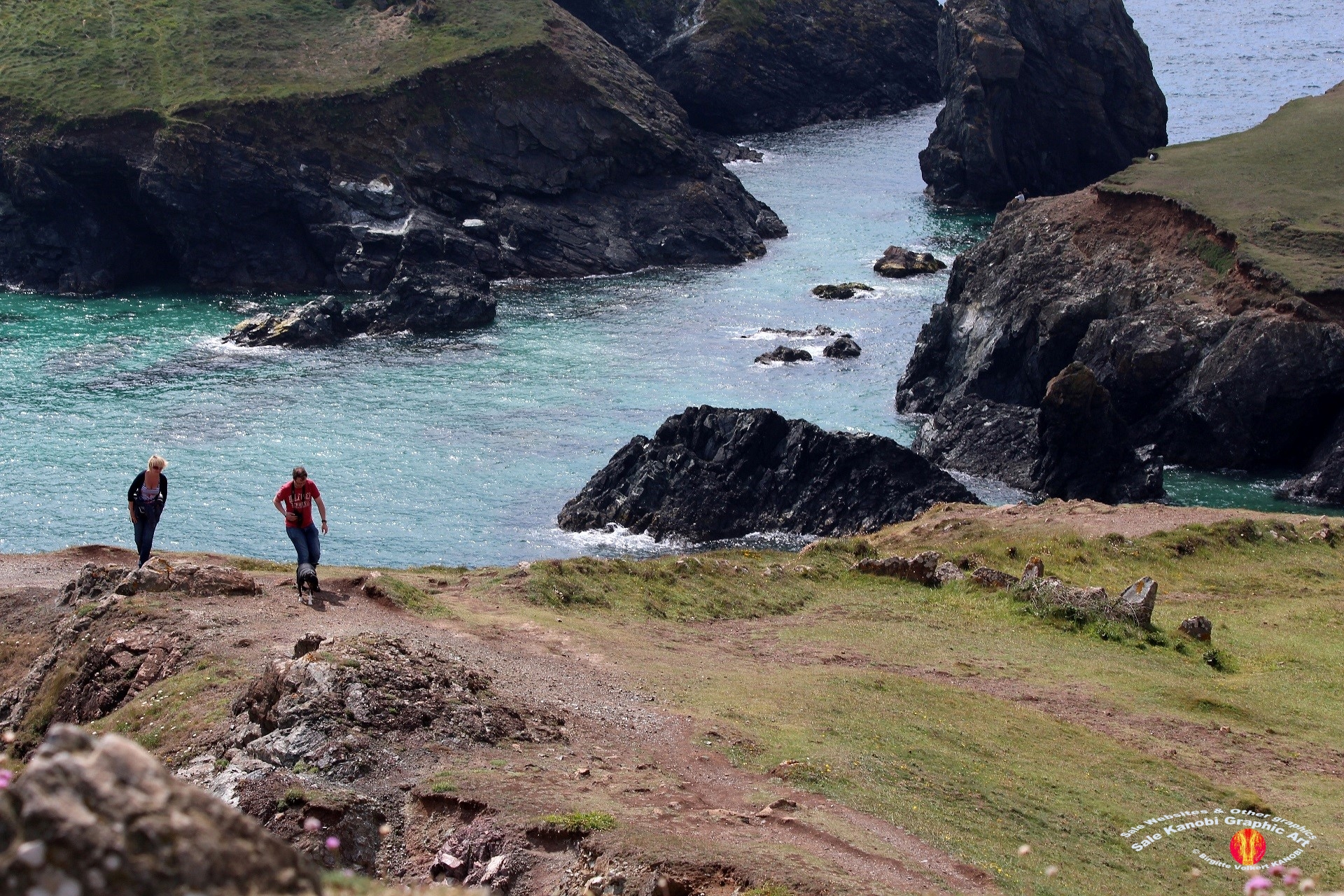Kynance Cove 29