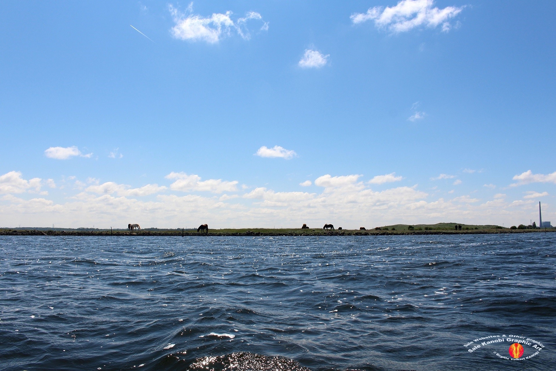 Odense Fjord Kayak 25