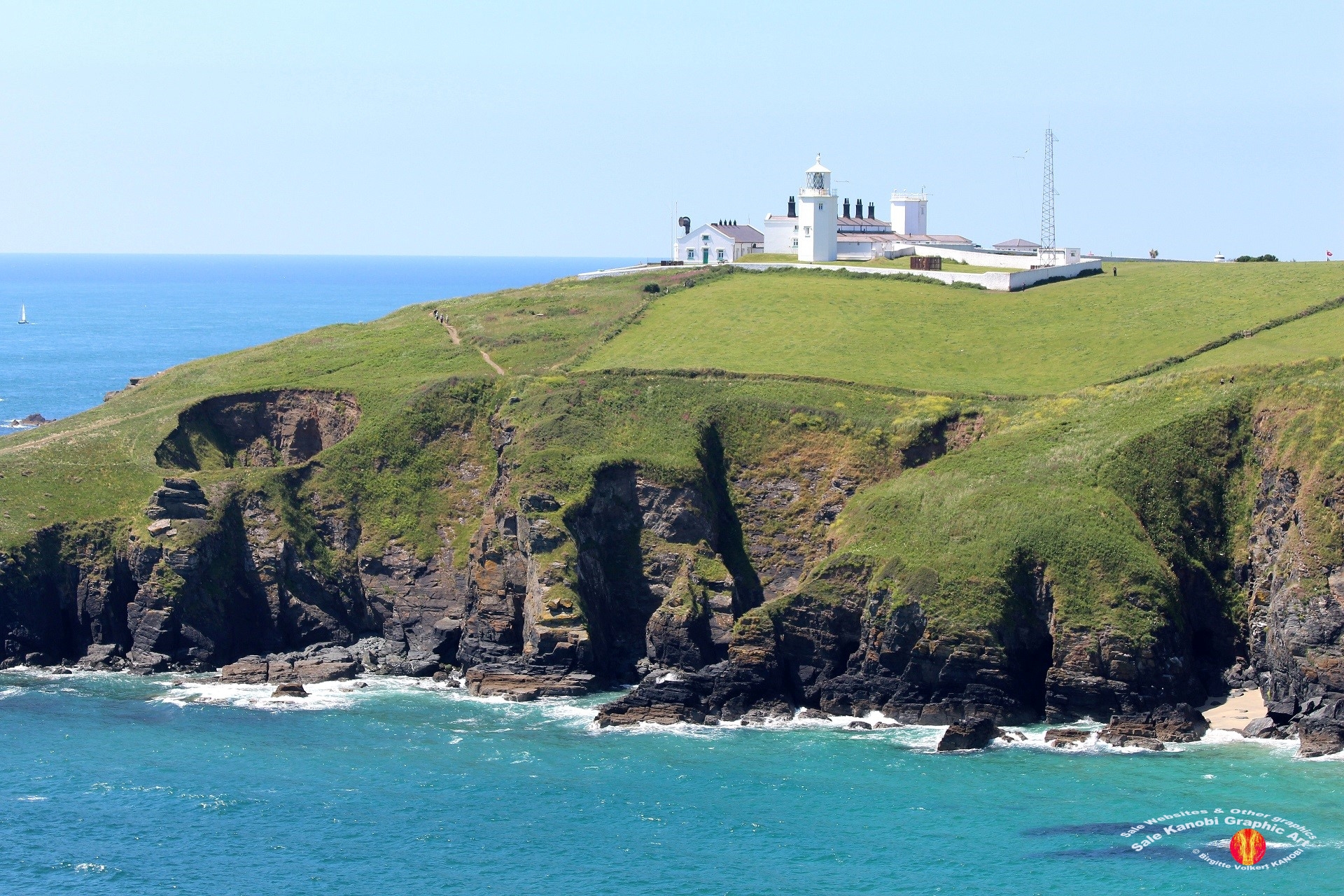 Light House Lizard 9
