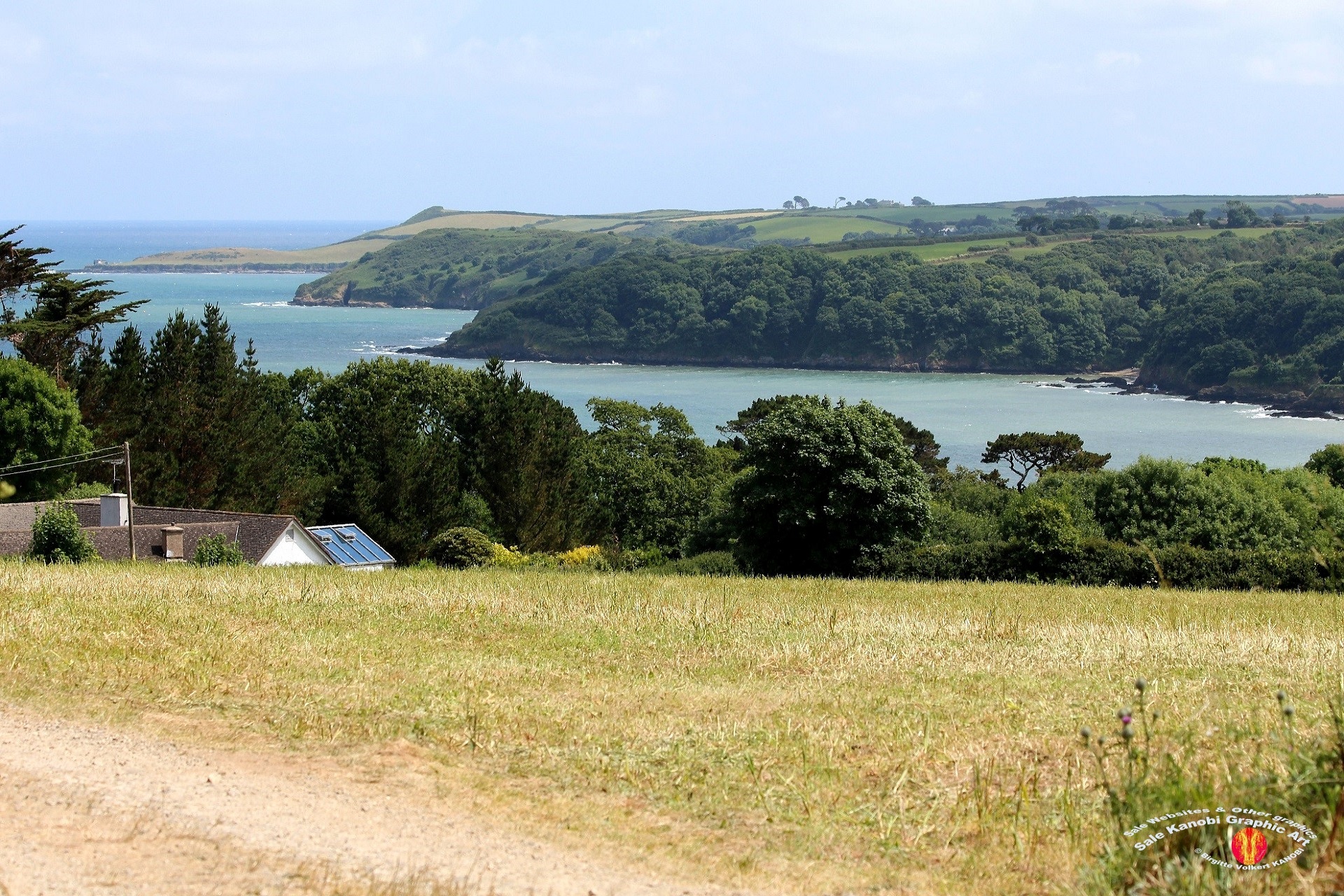 Area Trebah 2