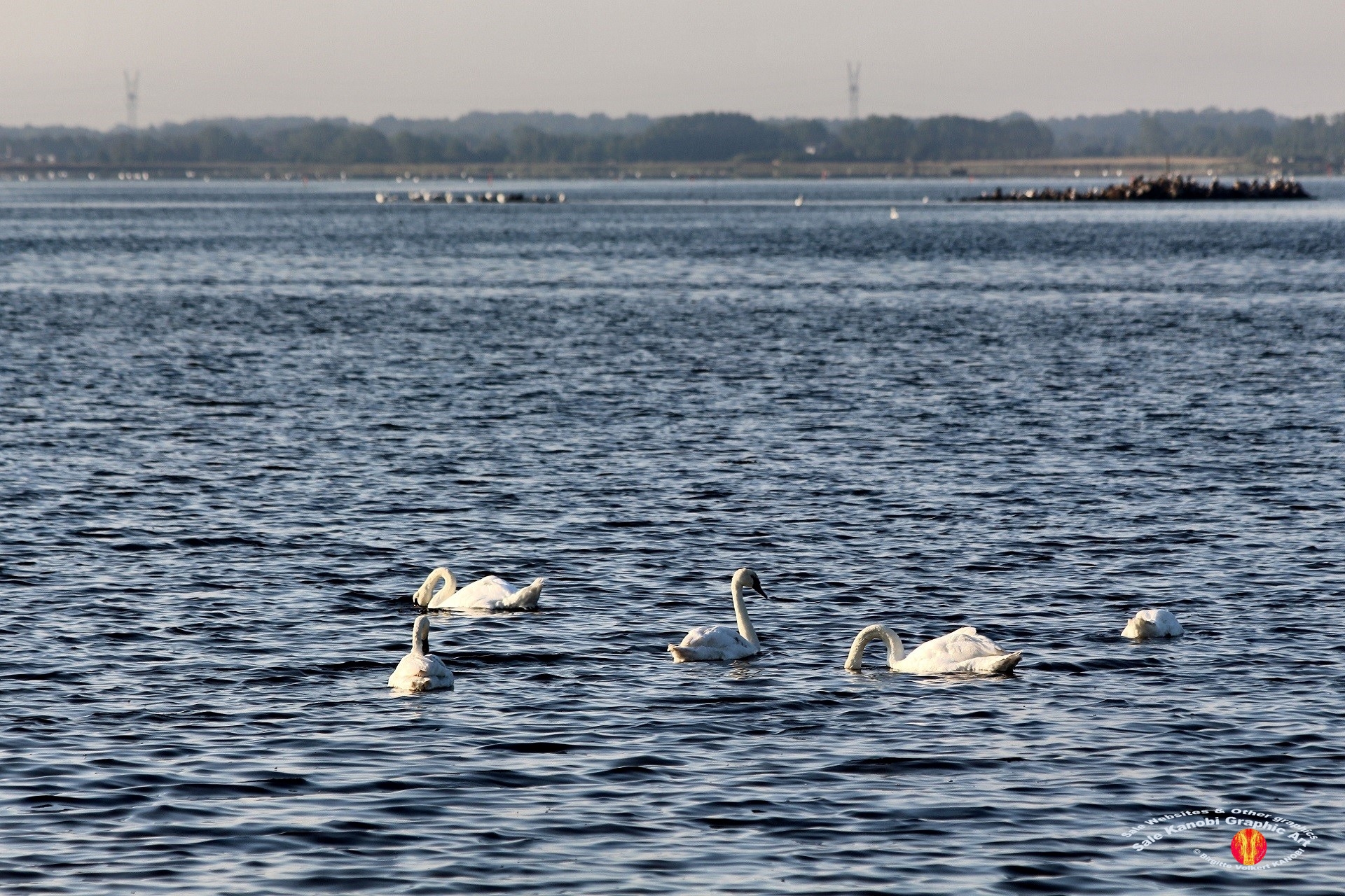 Odense Fjord Kayak 20