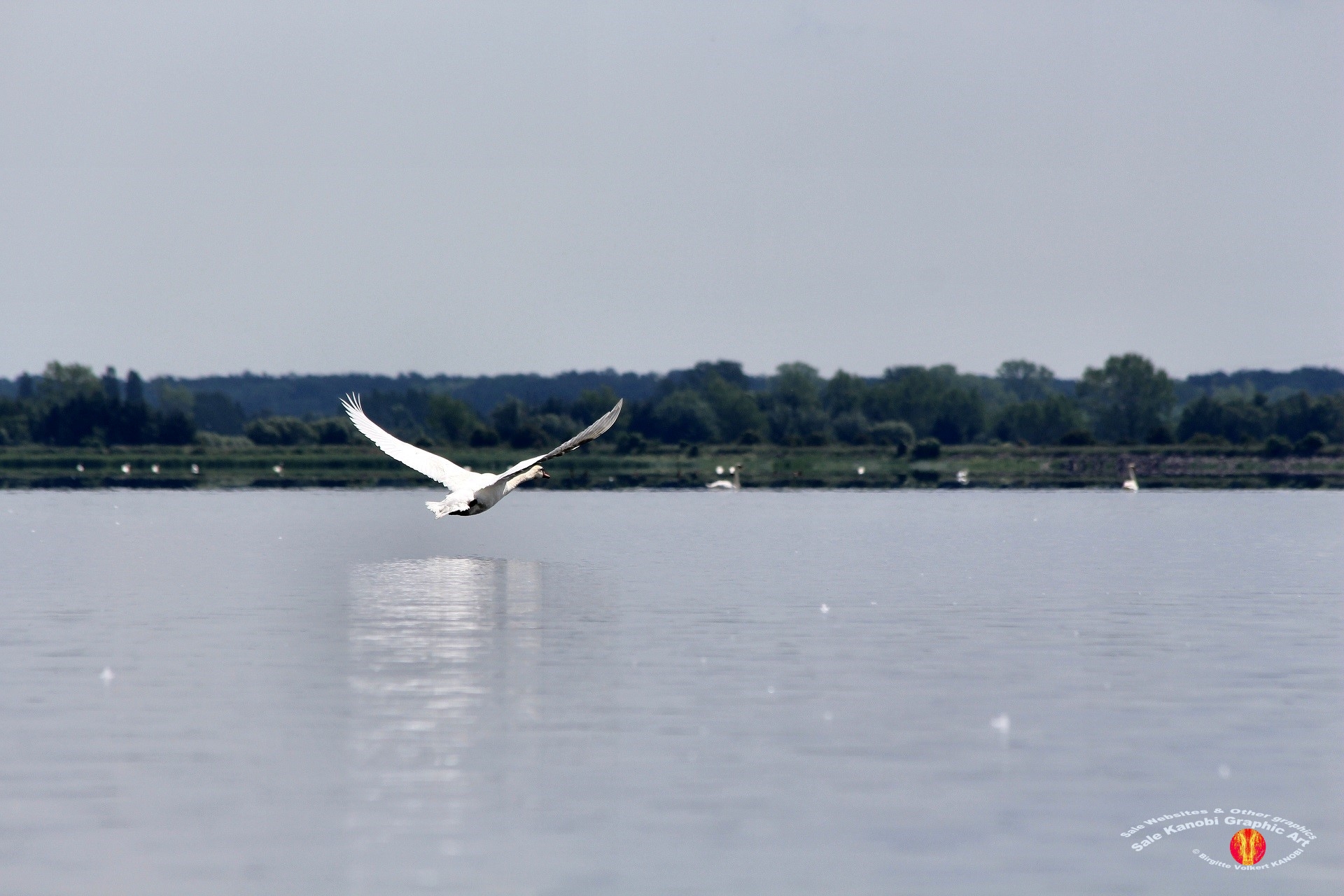 Odense Fjord Kayak 5
