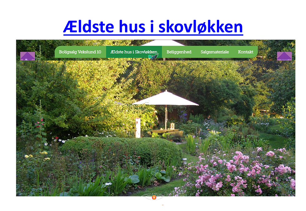 Salgsopstilling Vekslund 10 2022 (25).PNG