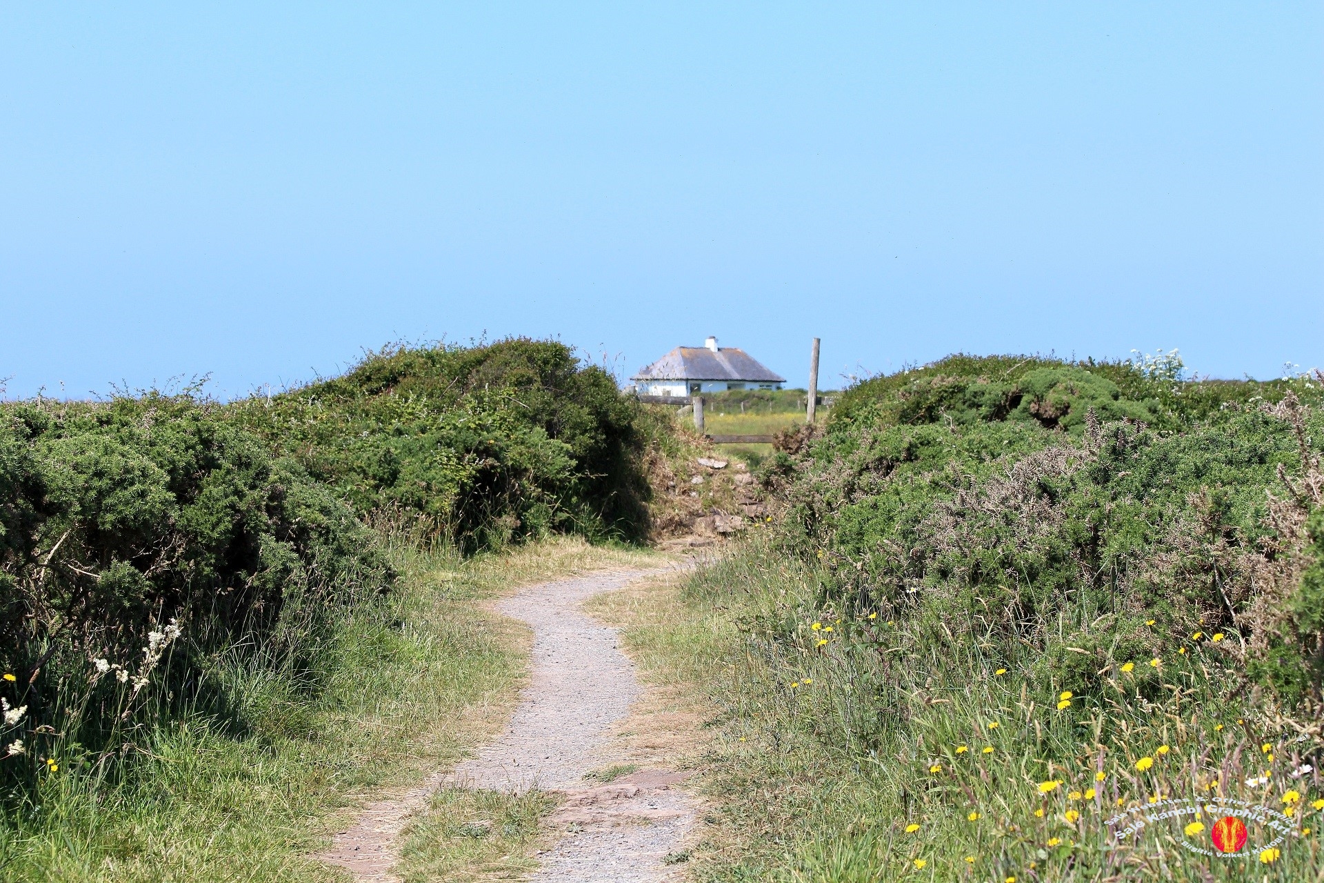 Kynance Cove 3