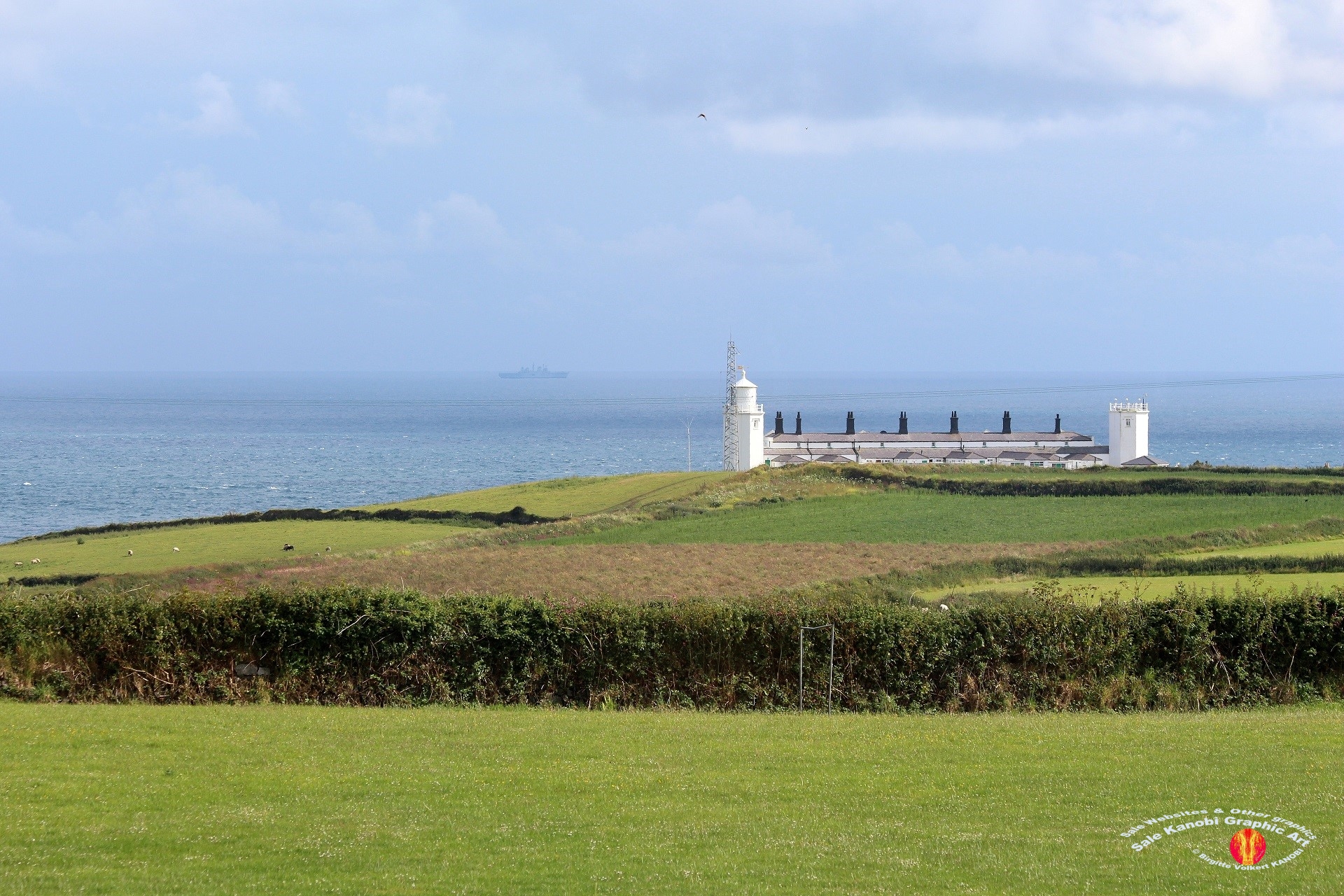 Light House Lizard 4