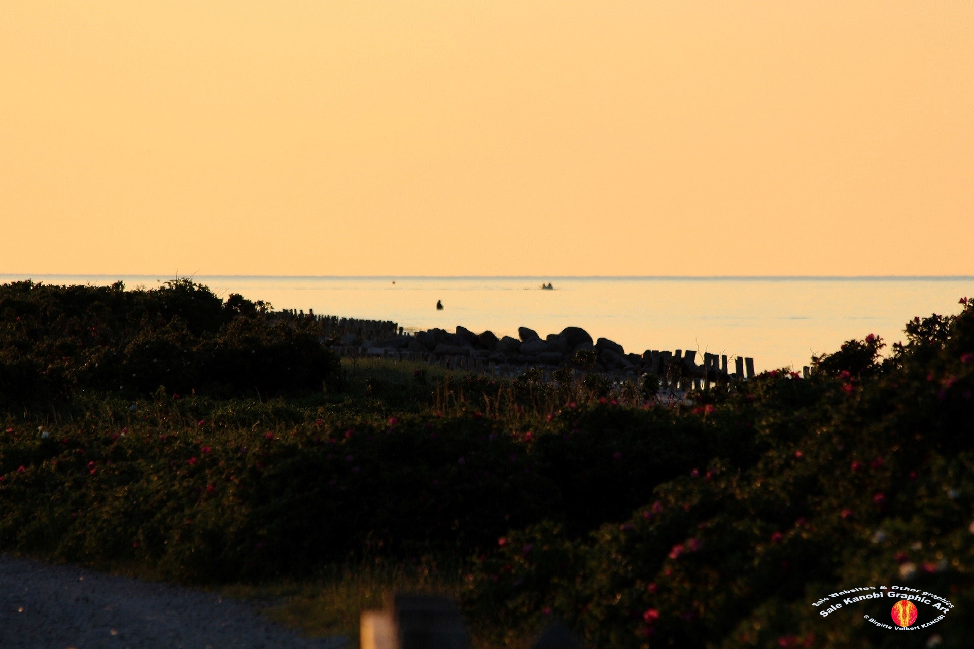 Enebærodde Evenings 22