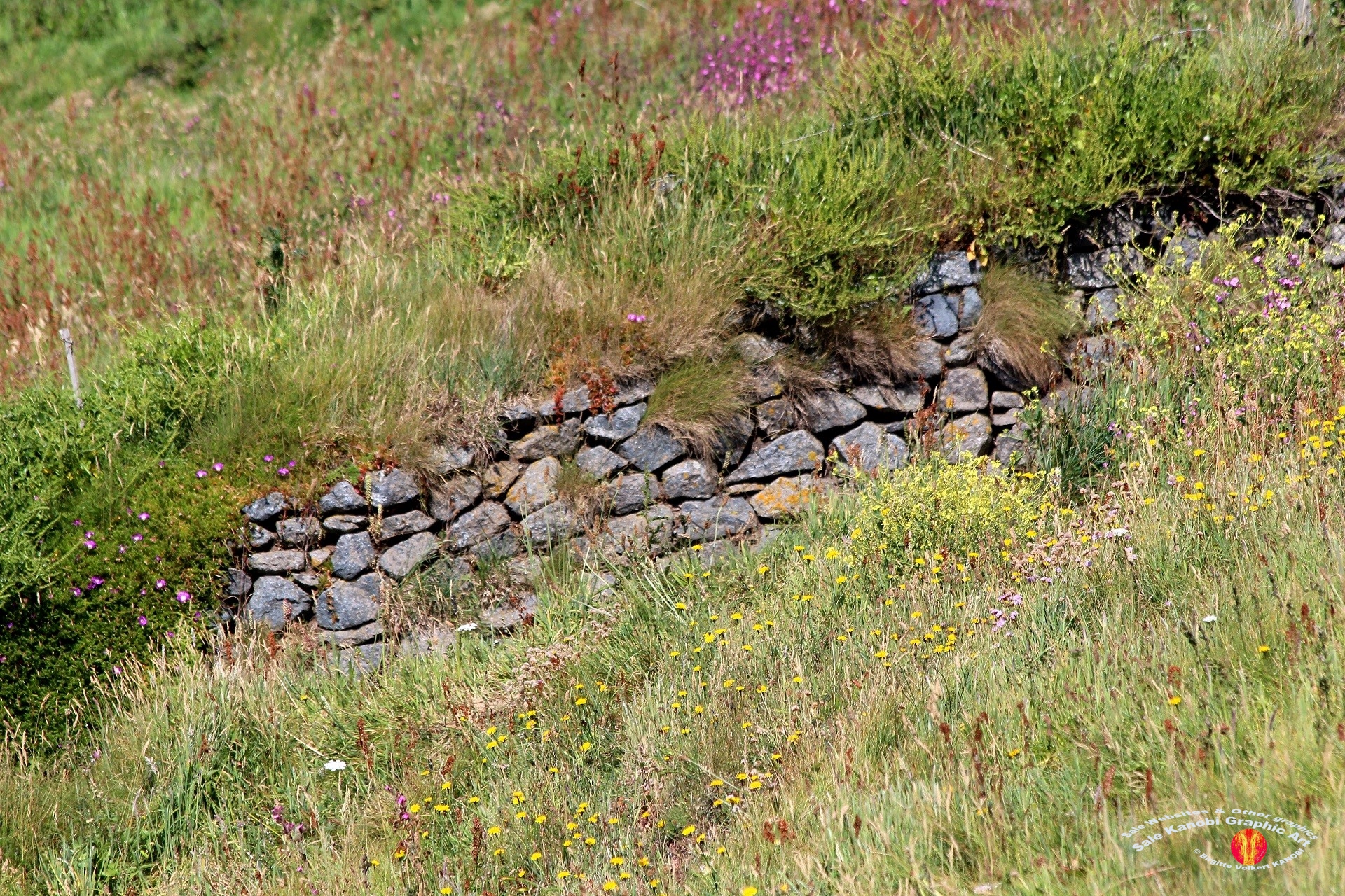 Most Southerly Point UK 39