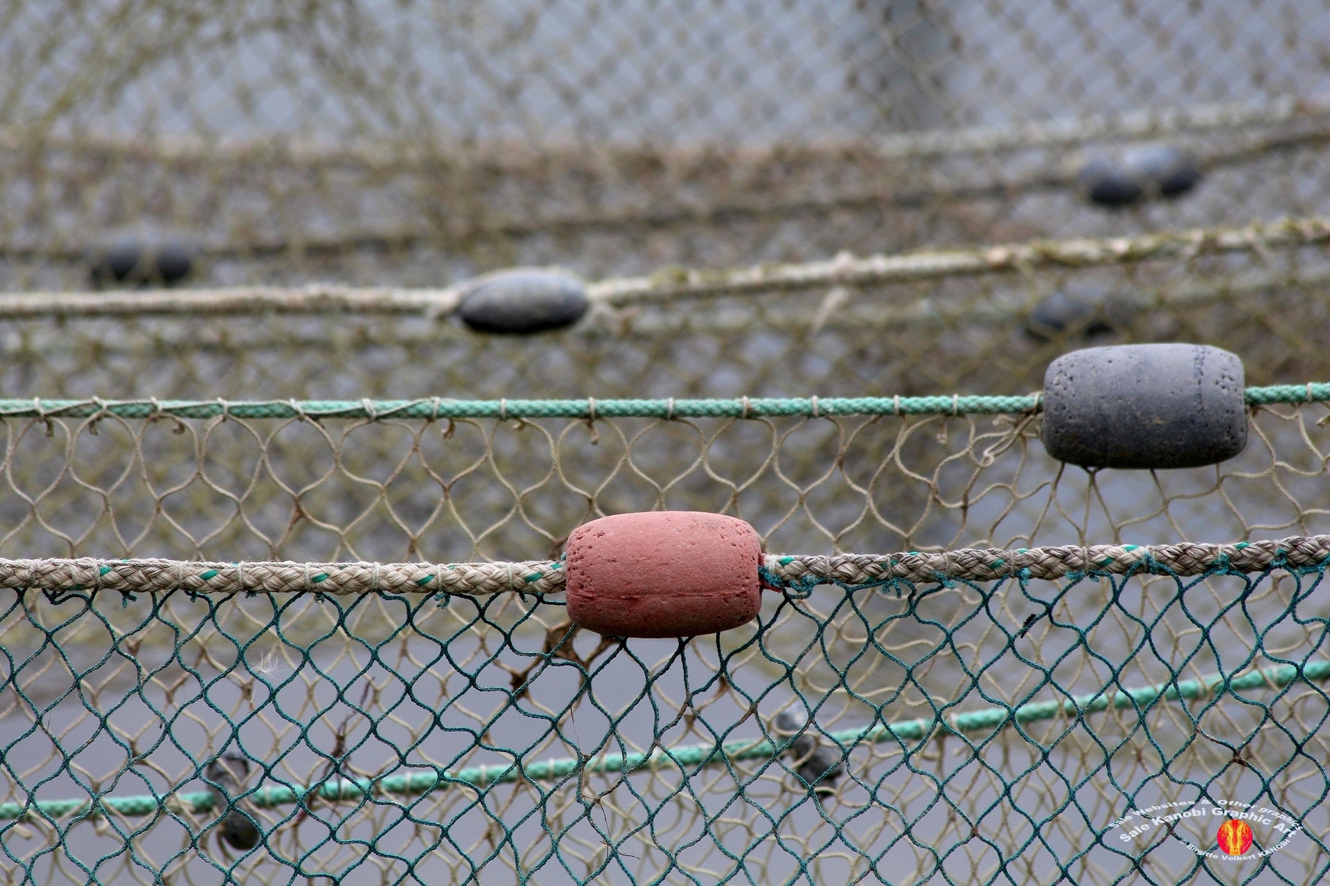 Otterup Harbour 12