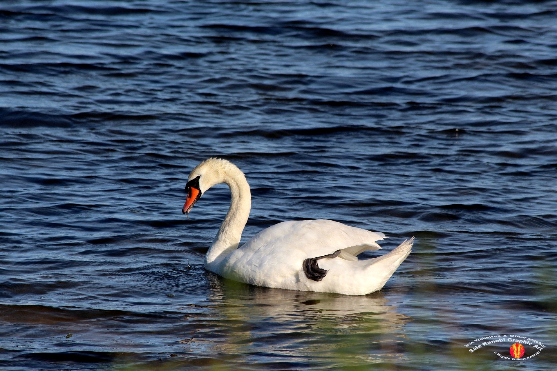 Enebærodde 70