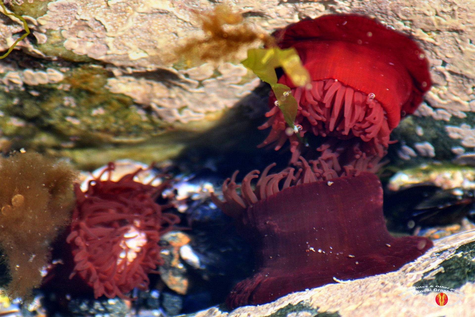 Housel Bay Beach 35