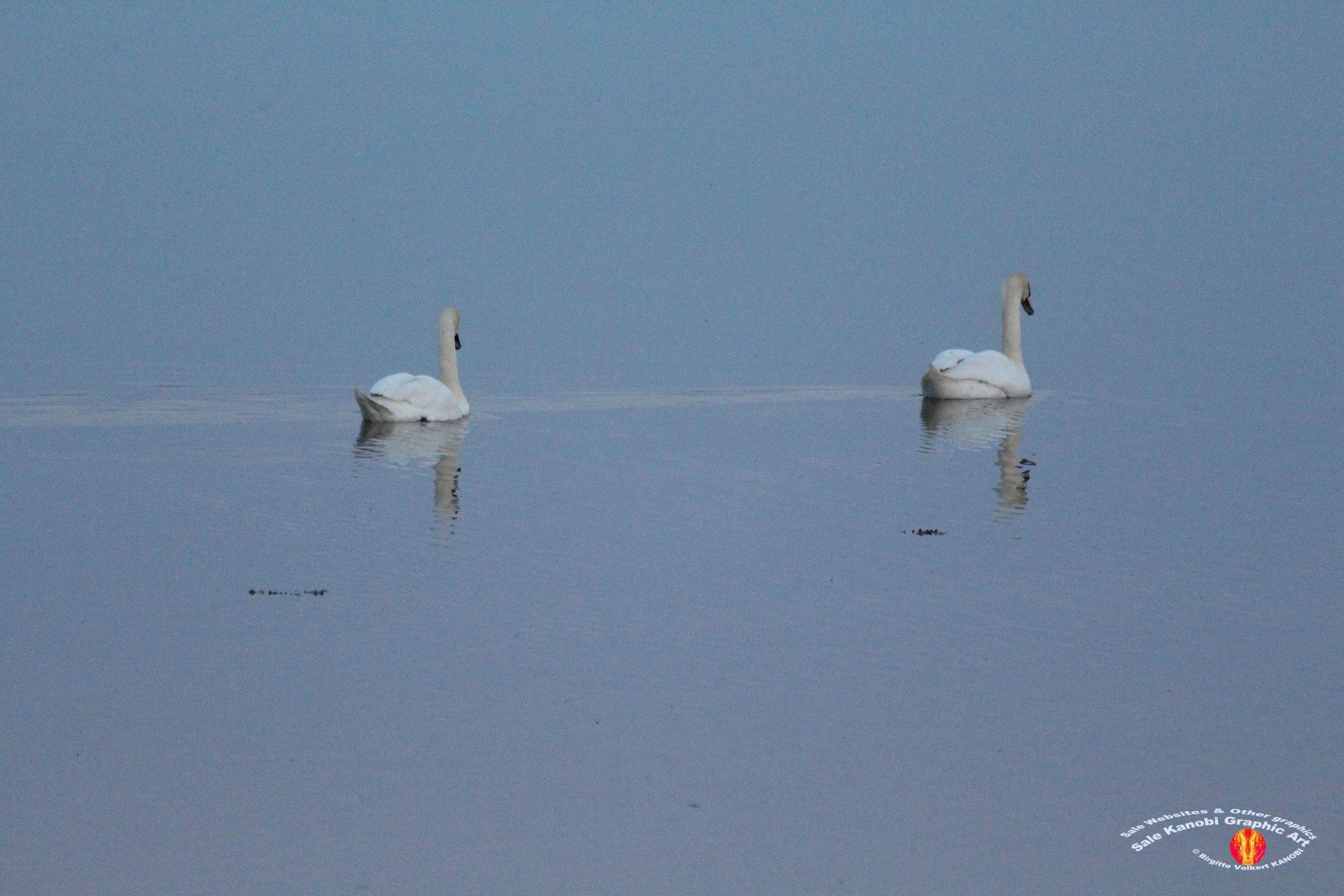 Enebærodde Evenings 36