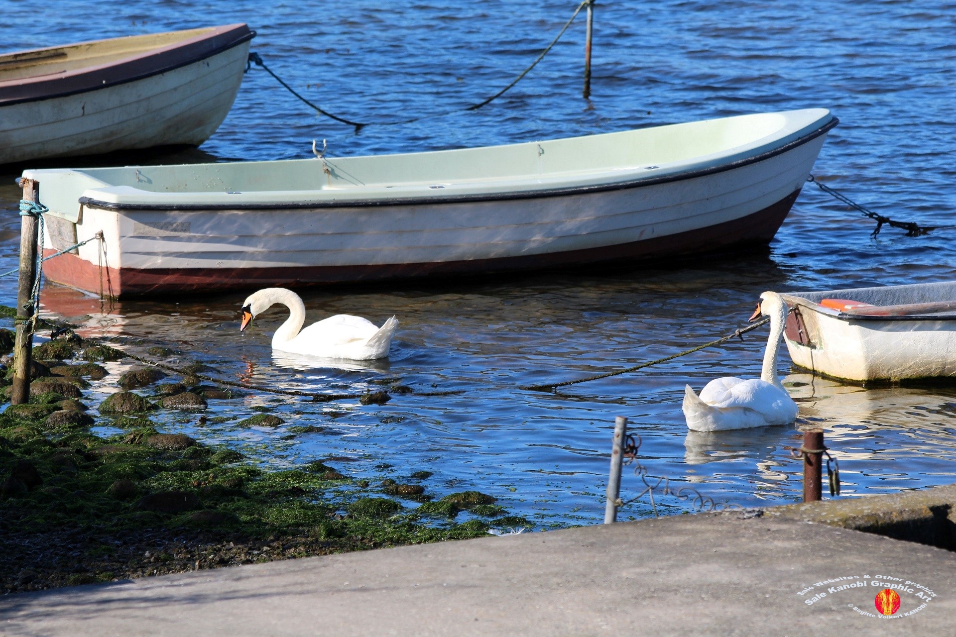 Otterup Harbour 14