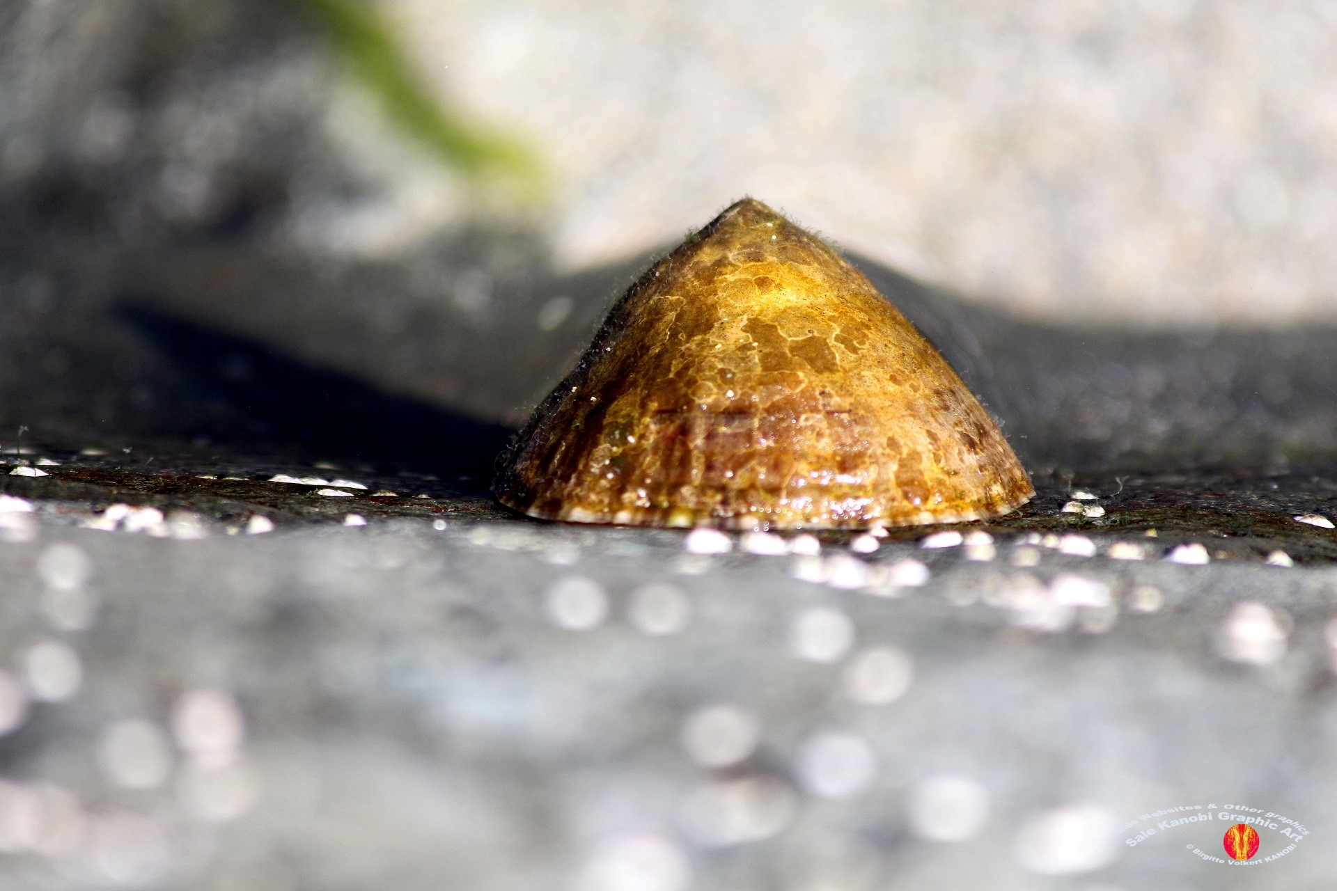 Housel Bay Beach 24
