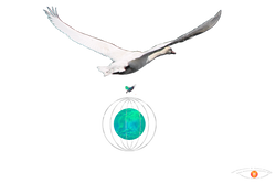 © What is Digital Art (3).