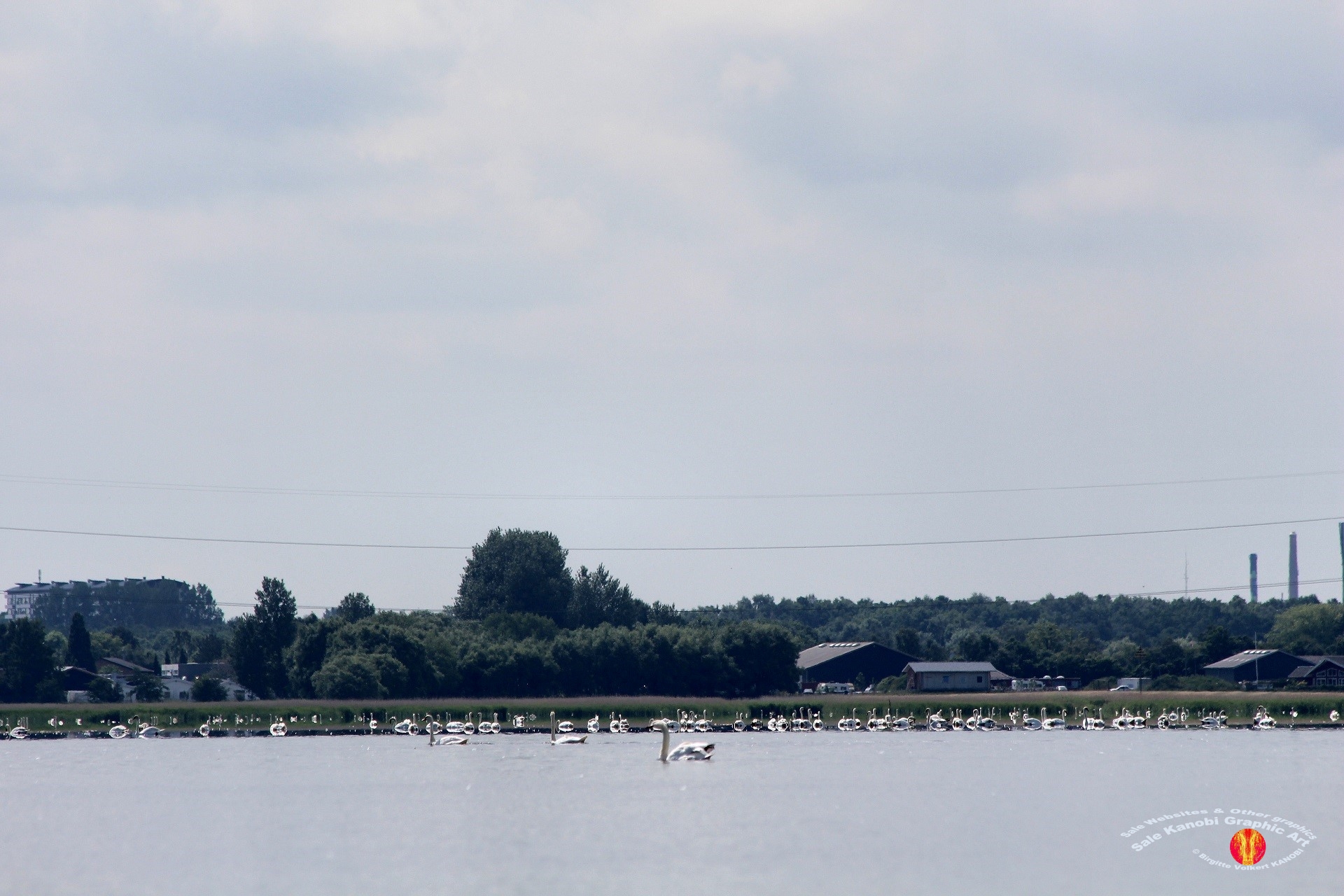 Odense Fjord Kayak 10
