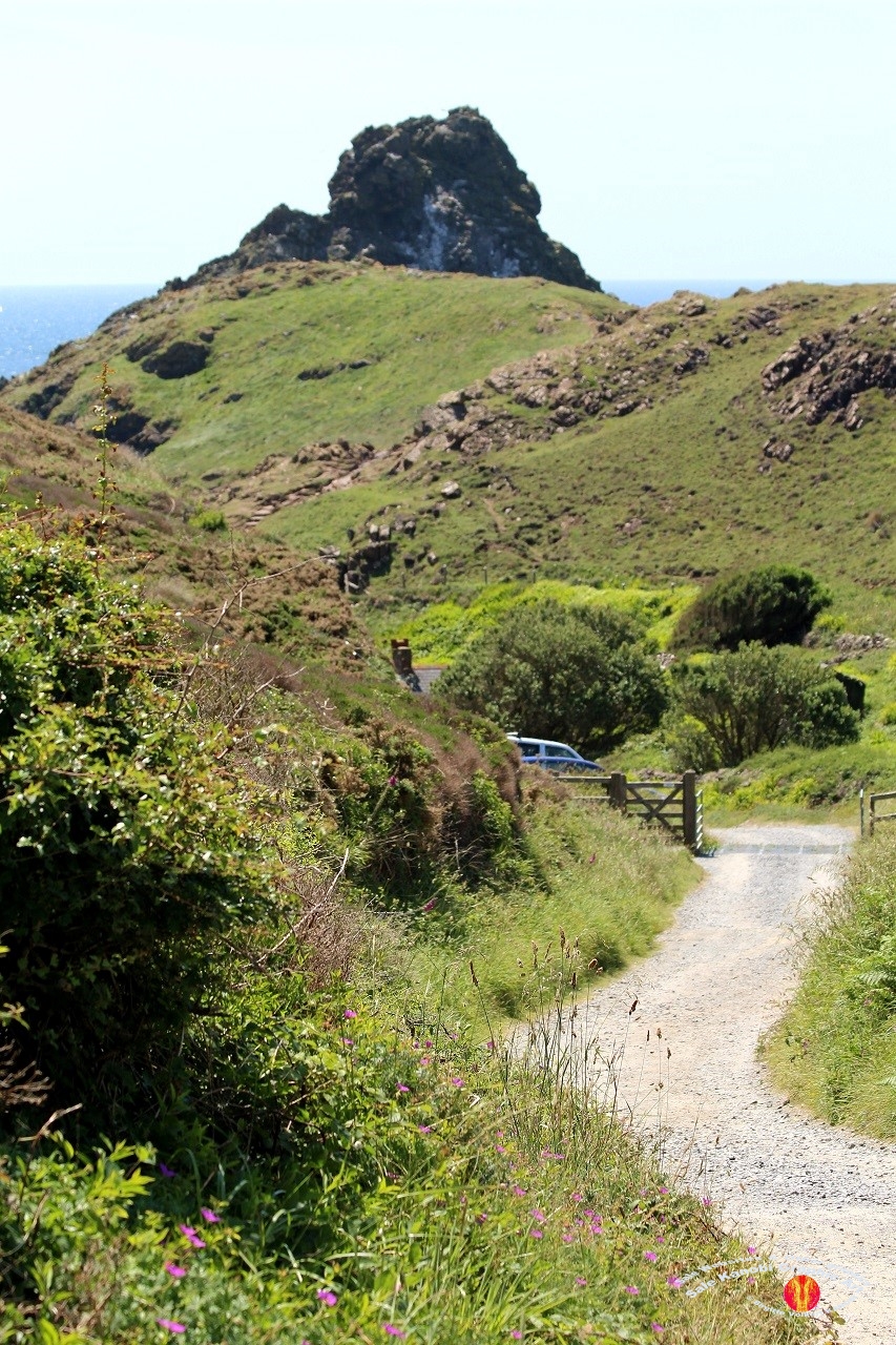 Kynance Cove 20