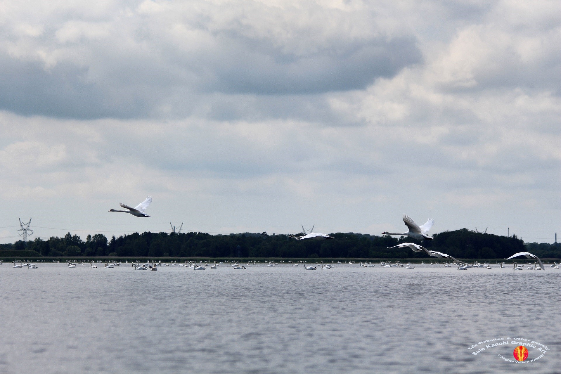 Odense Fjord Kayak 13