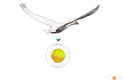 © What is Digital Art (5).