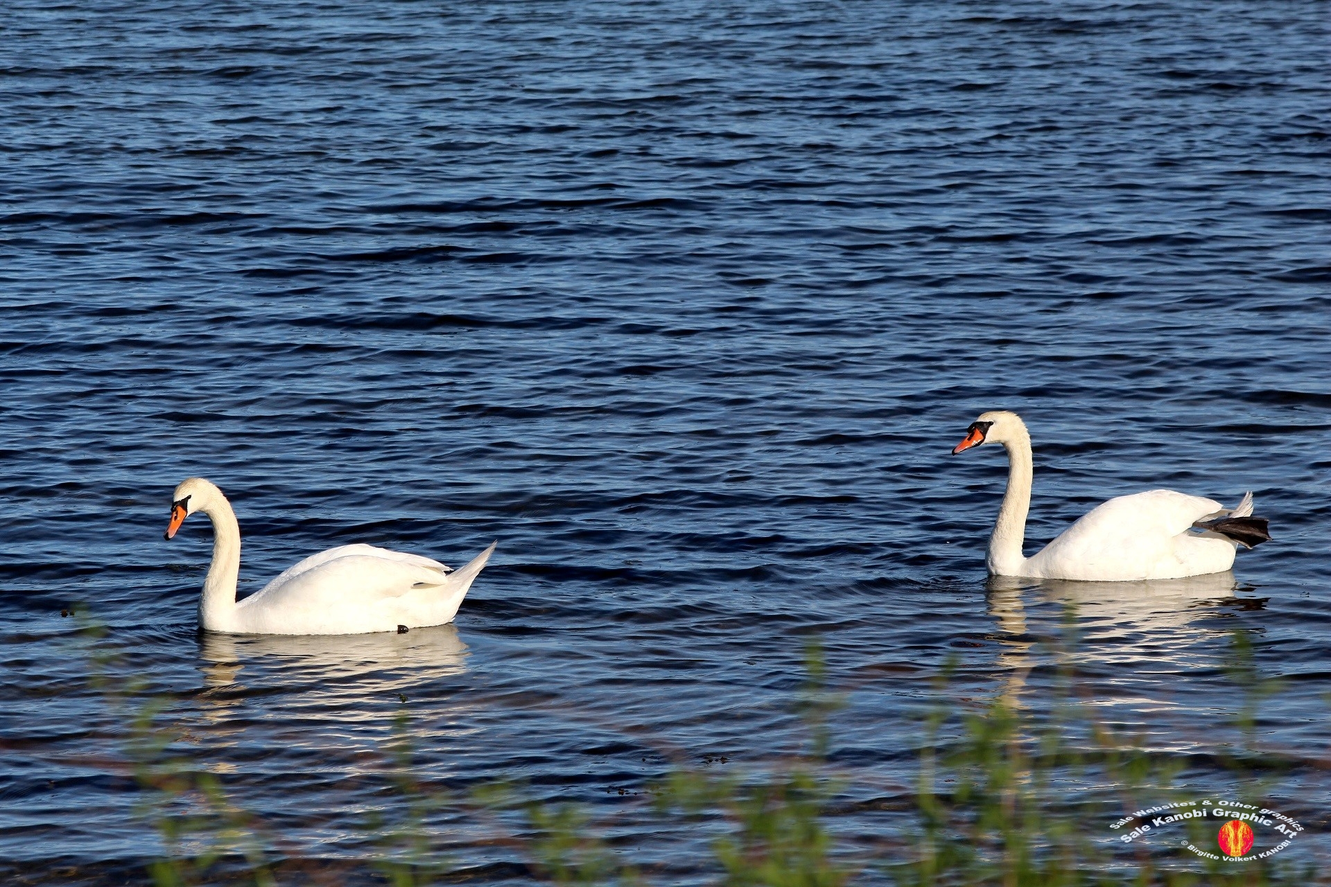 Enebærodde 72