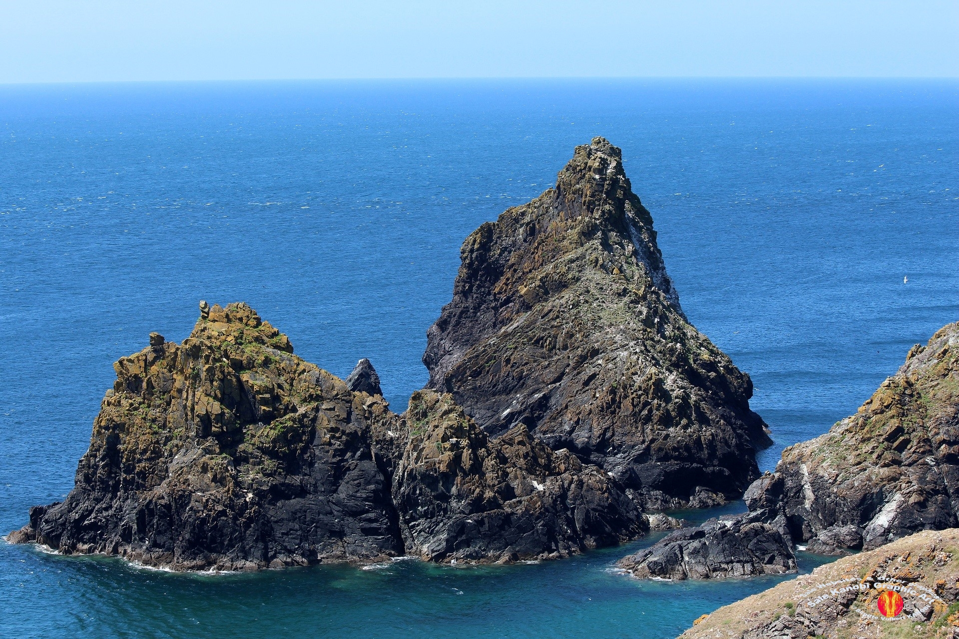 Kynance Cove 10
