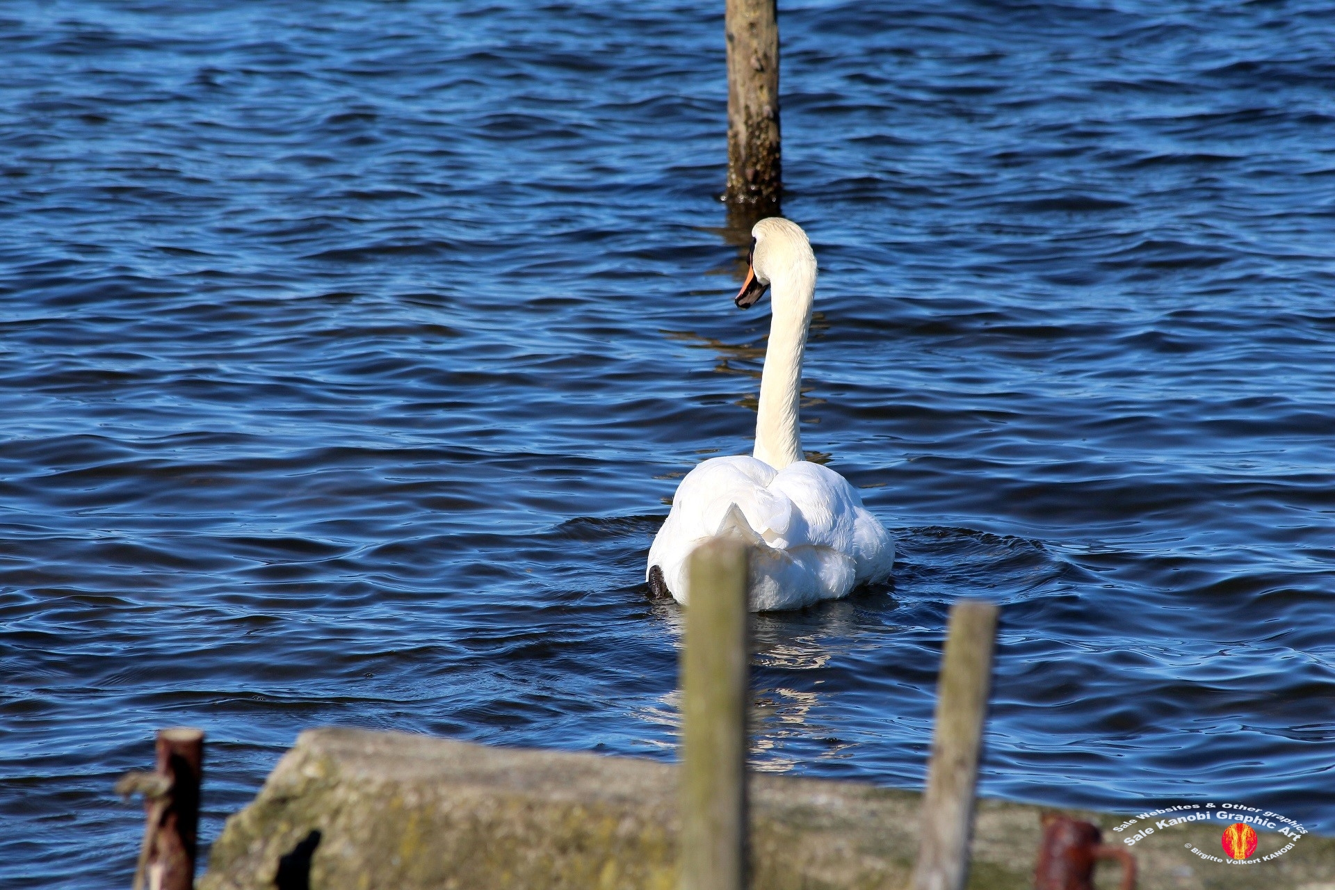 Otterup Harbour 16