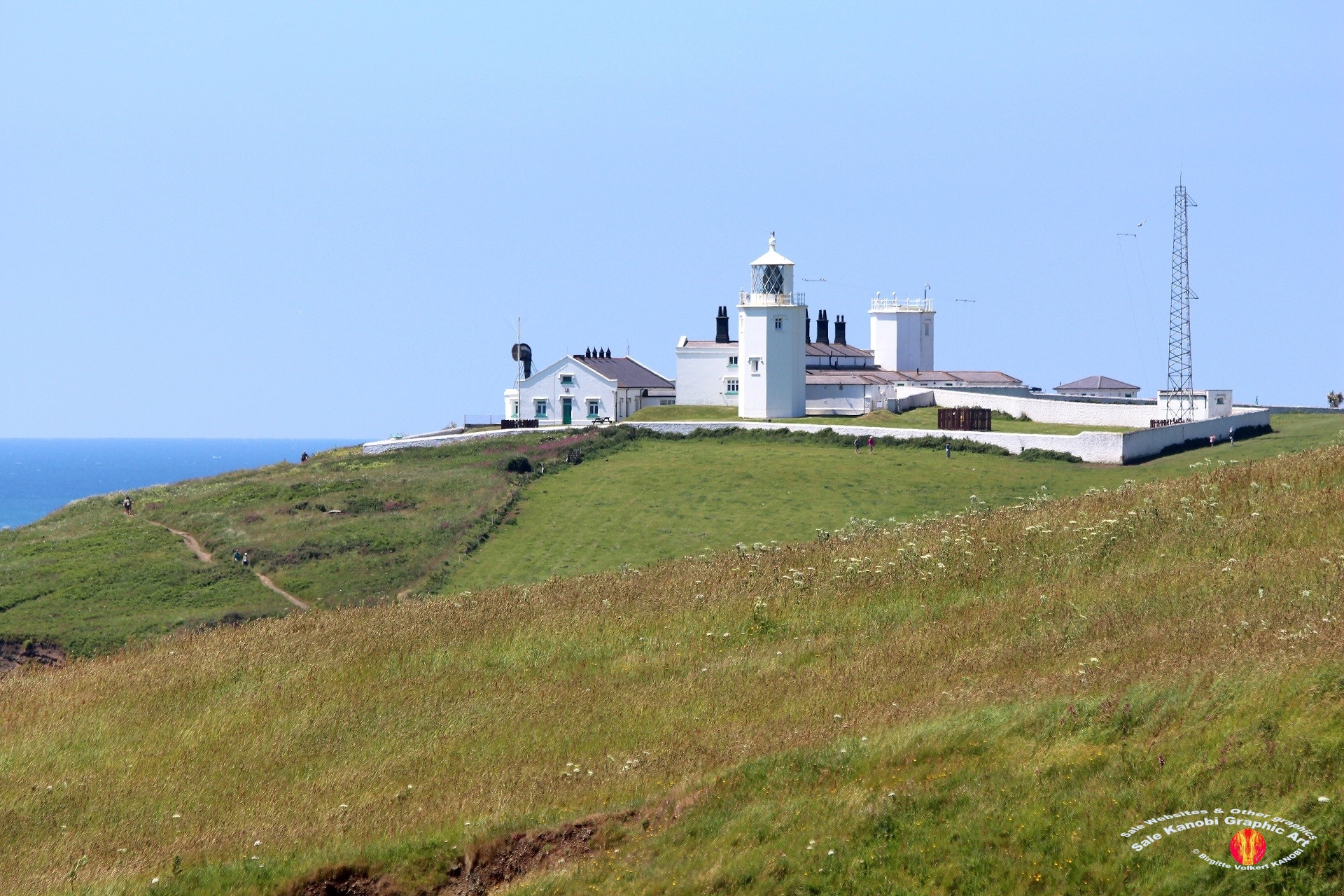 Light House Lizard 2