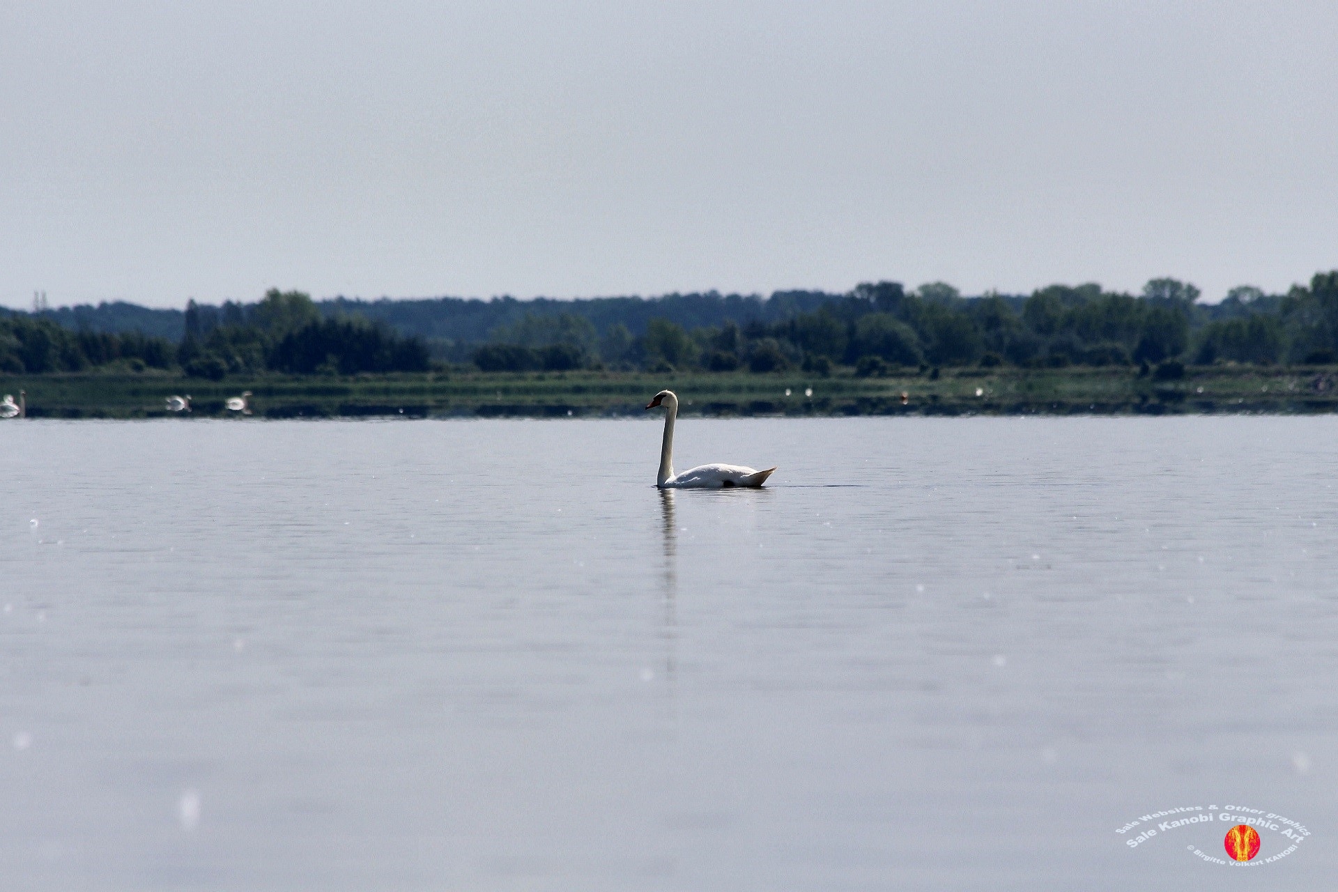 Odense Fjord Kayak 3