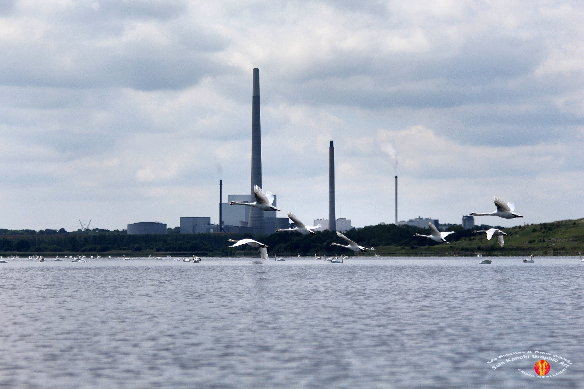 Odense Fjord Kayak 14