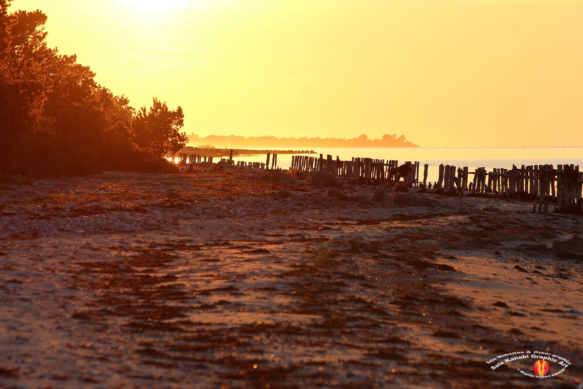 Enebærodde Evenings 17