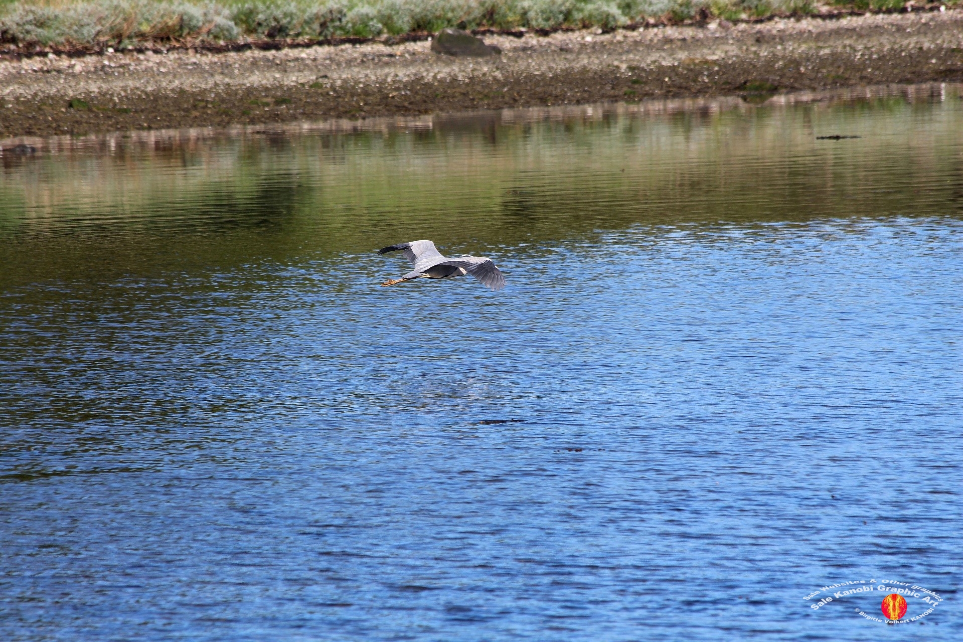 Otterup Harbour 32