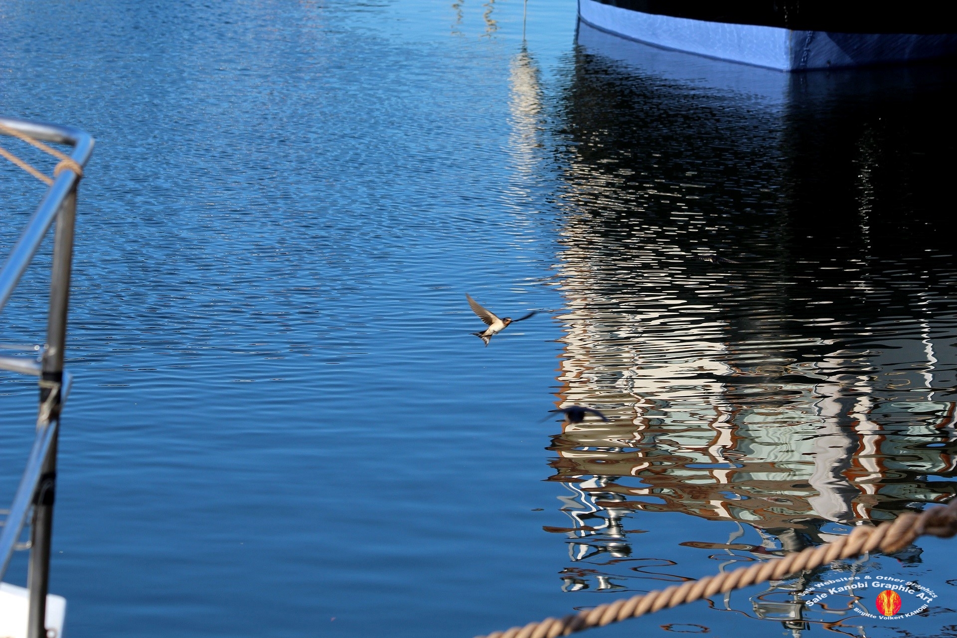 Bogense 35