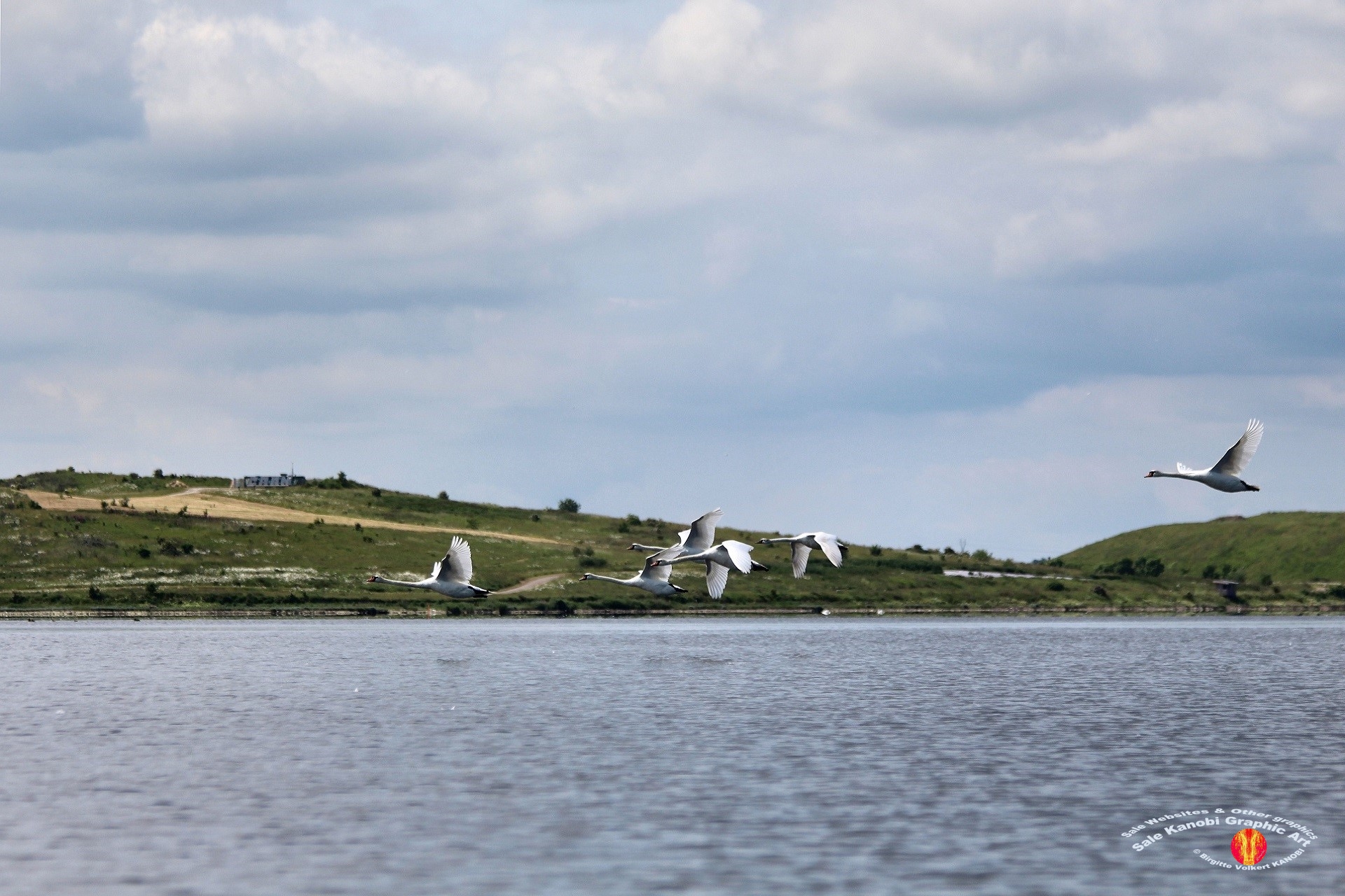 Odense Fjord Kayak 15
