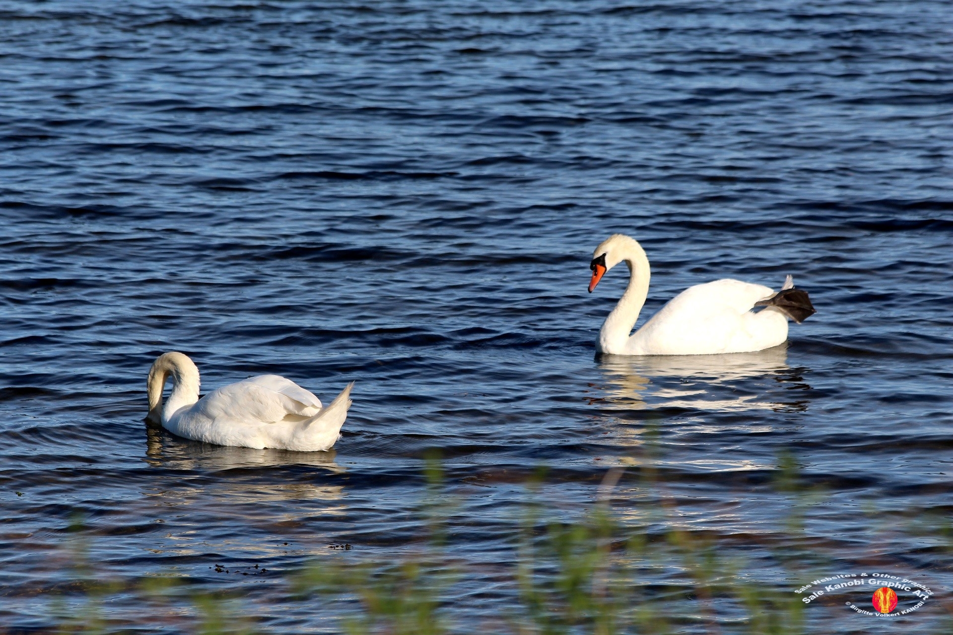 Enebærodde 67