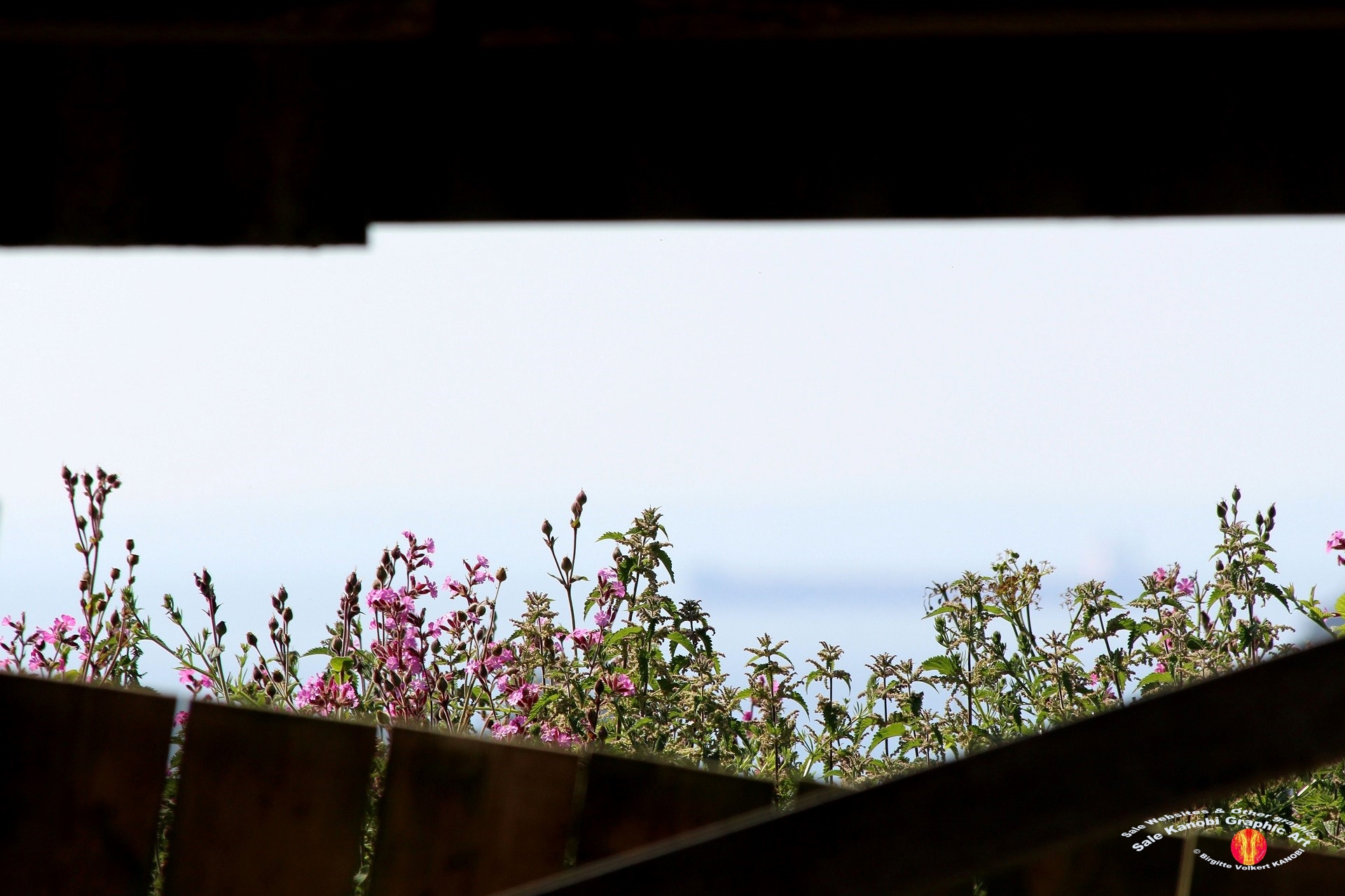 The Farmer Shop 6