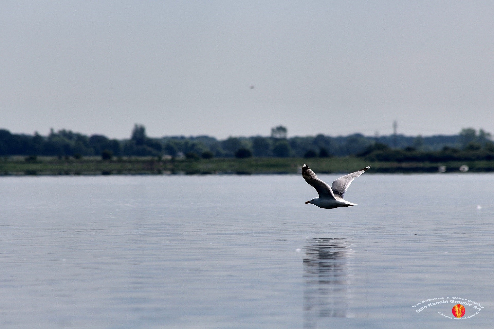 Odense Fjord Kayak 7