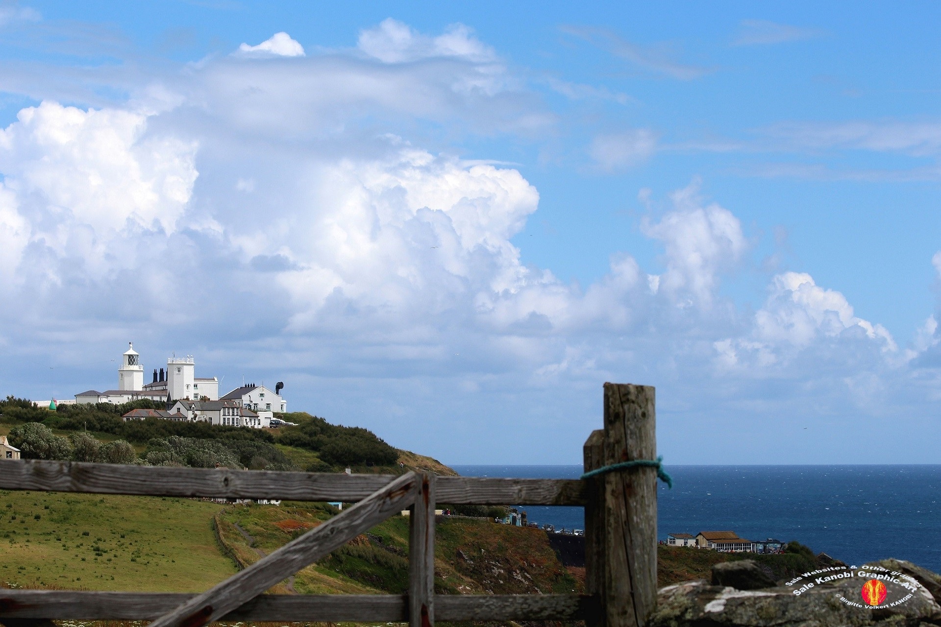 Light House Lizard 21