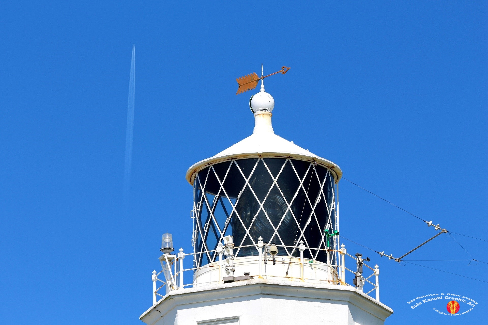 Light House Lizard 14