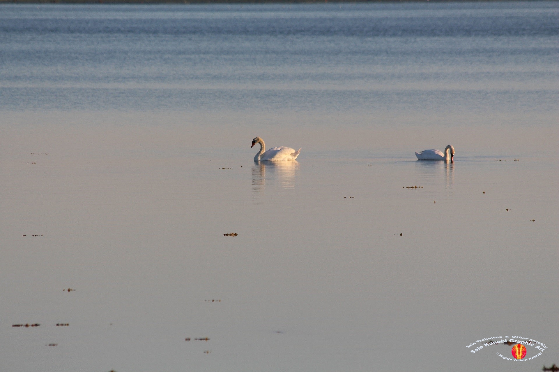 Enebærodde Evenings 3