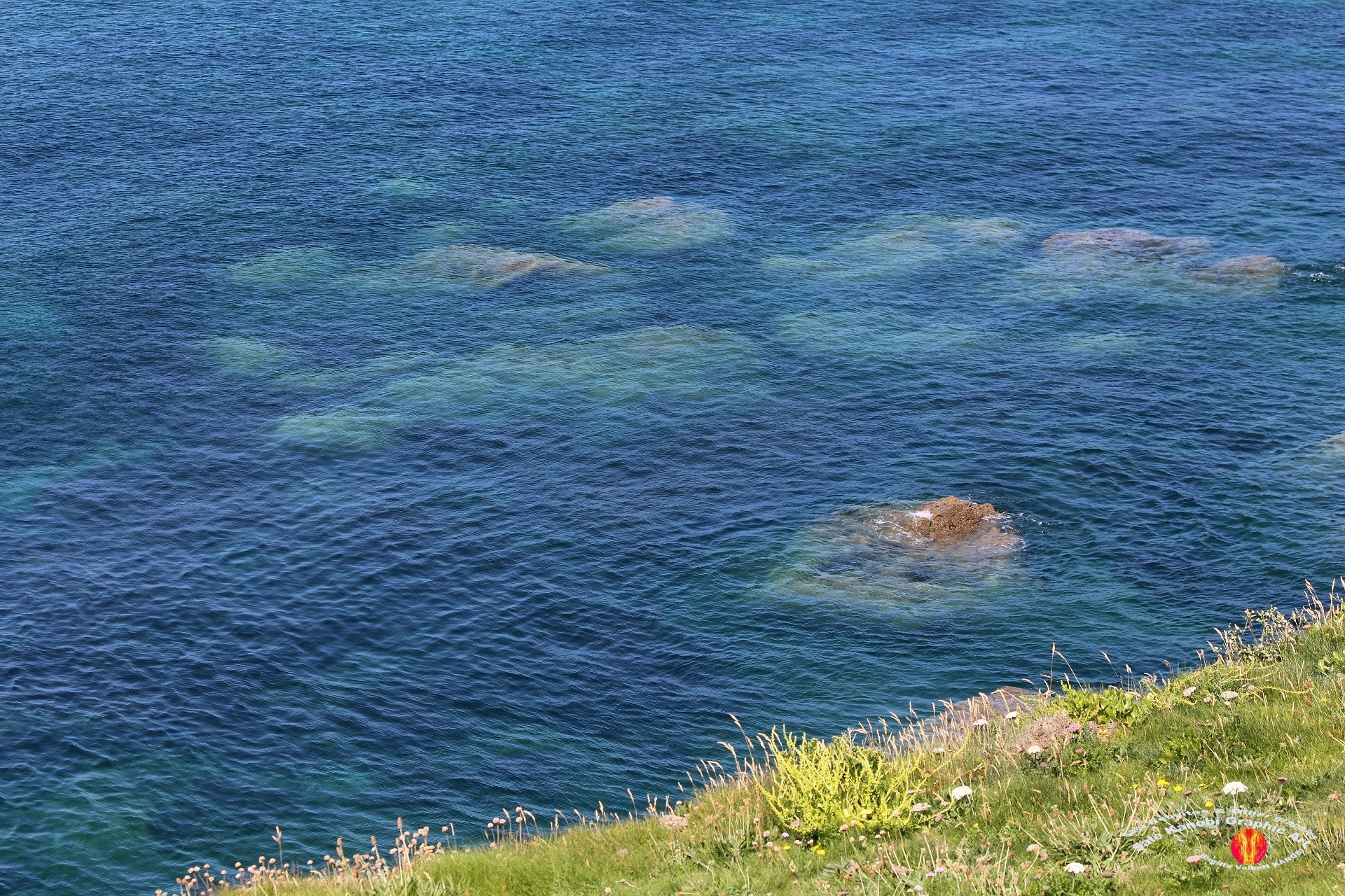 Kynance Cove 5