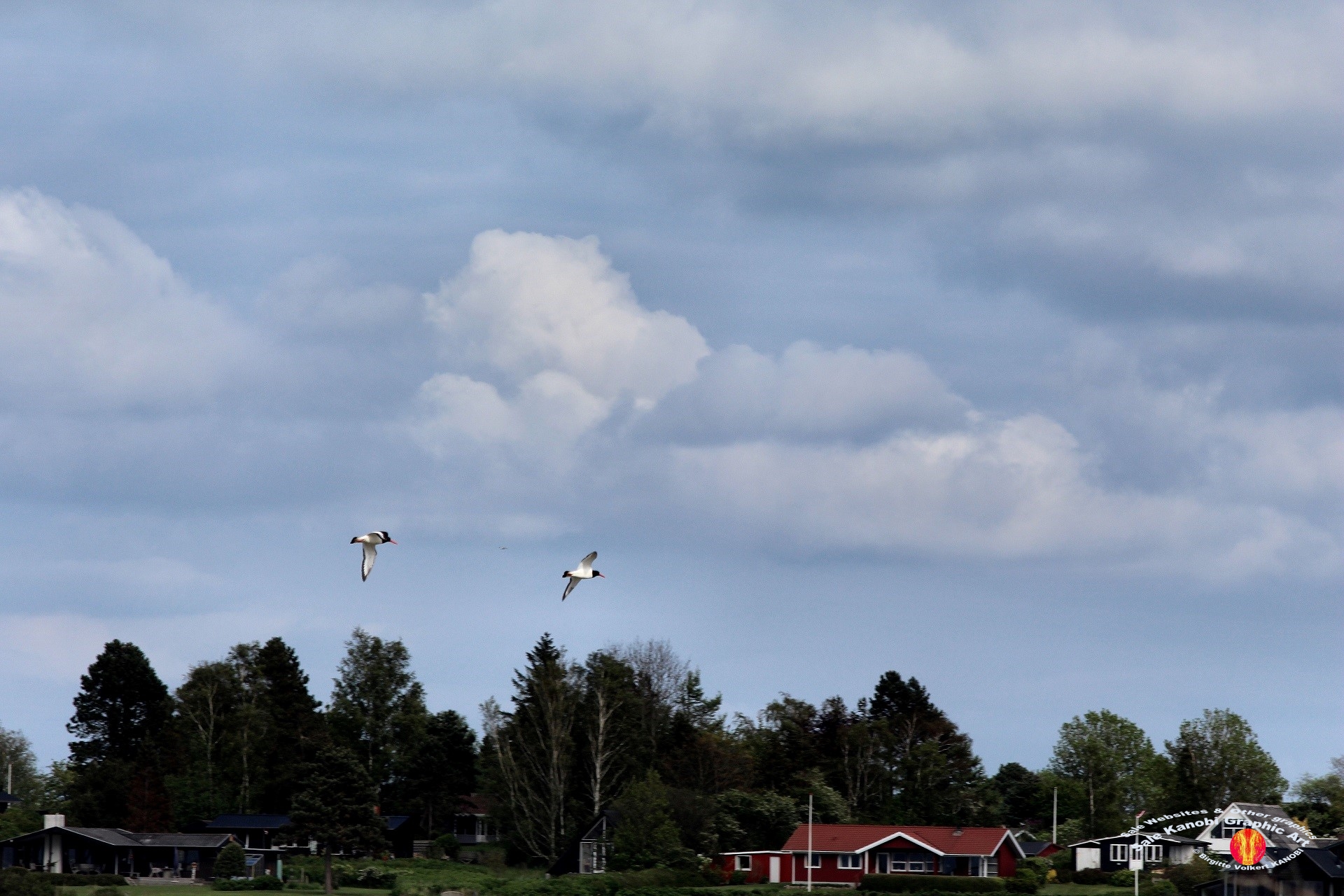 Enebærodde 34