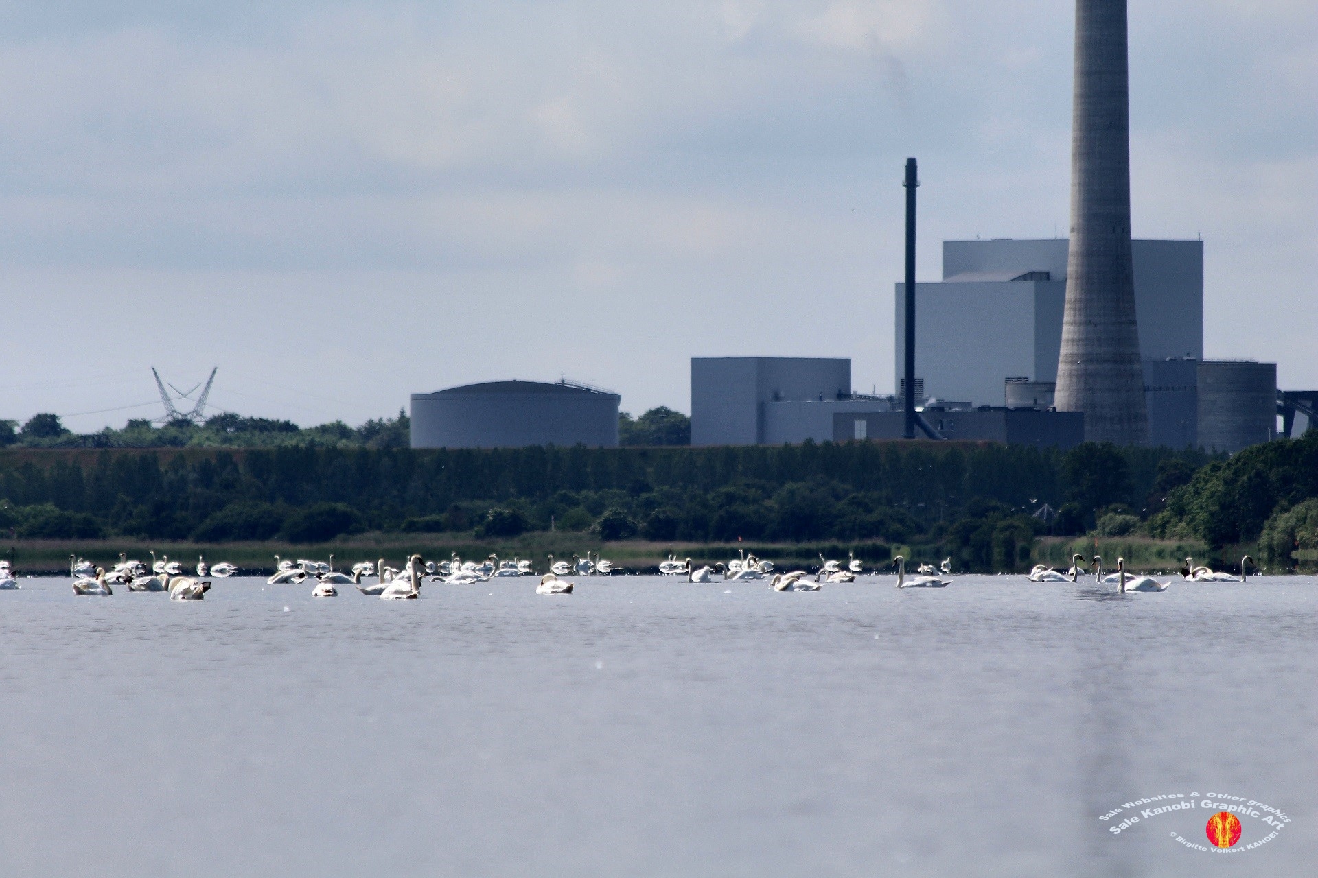 Odense Fjord Kayak 12
