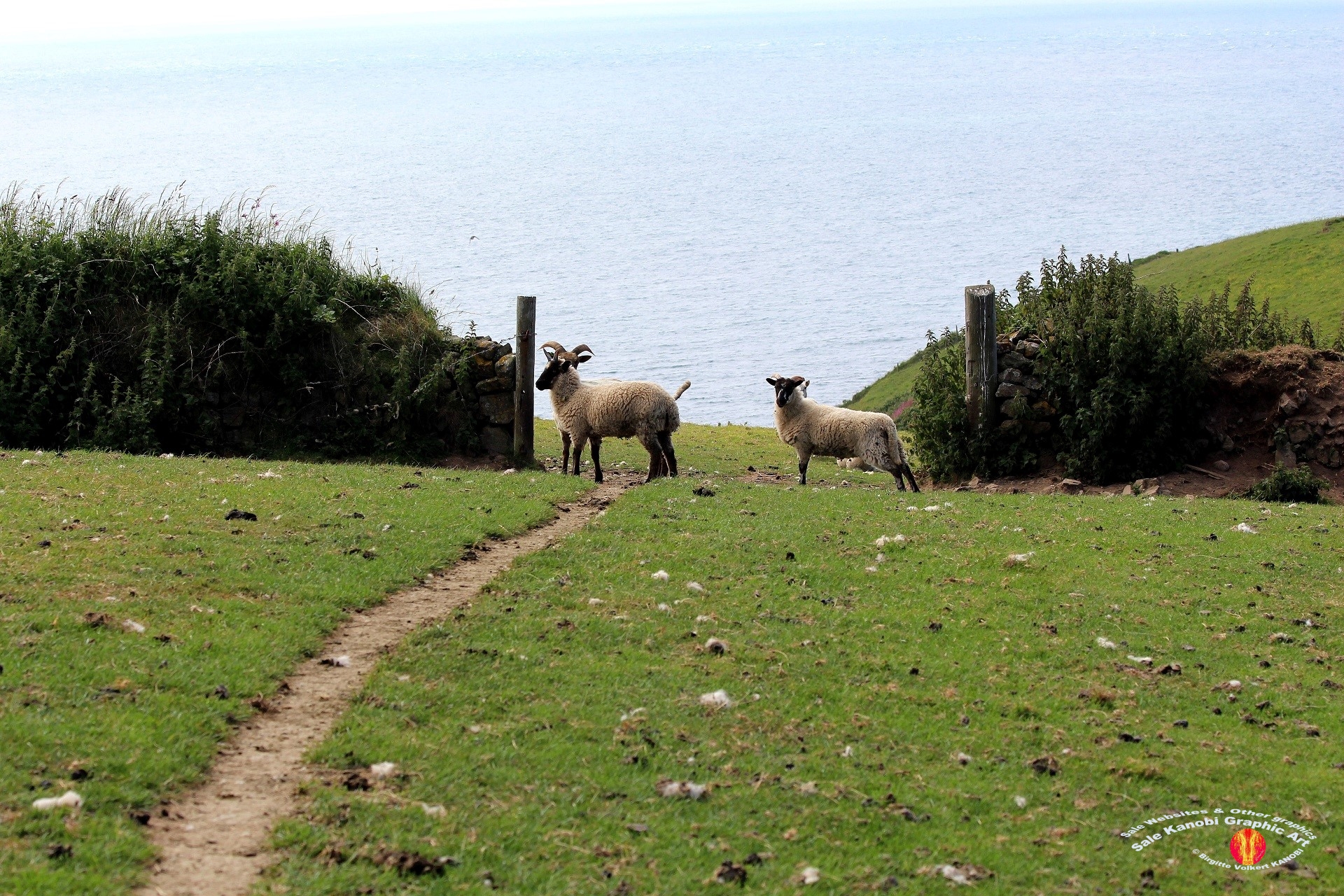 Housel Bay Beach 5