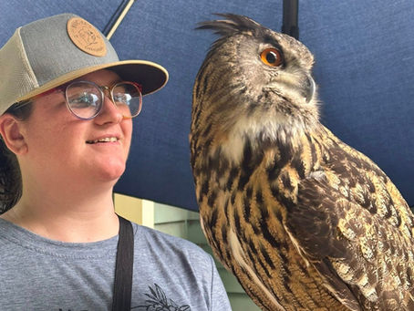 Flight Lessons: What Falconry Taught Me at 30