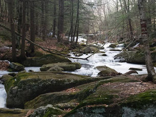 Wild Spaces Equal a Calm Mind