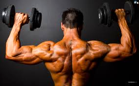 Educação Física- Musculação